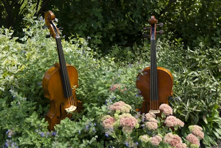 Wallin_violas-28.jpg