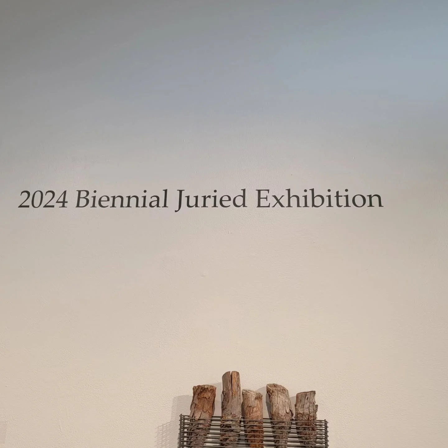 So proud to be accepted into the AVA Biennial Exhibit 2024!  Opening is Friday, June 21, an auspicious date-summer solstice, 5-7pm. Glad this work is being seen. Here's a sneak peek!
#avagallery #abstractphotography #thermograms #umbrellaarts