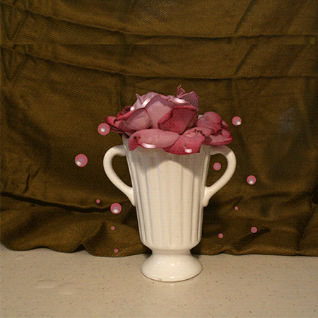 flower_bloom_small.gif