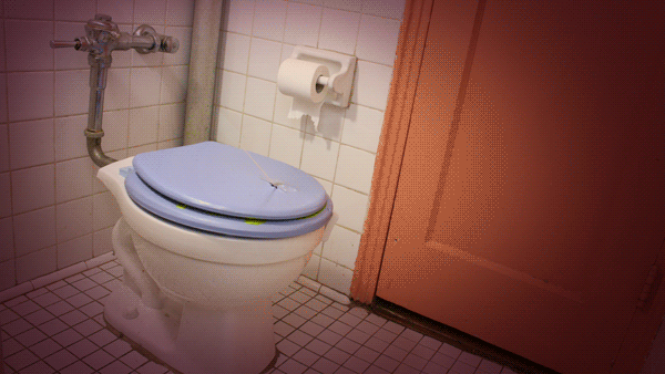 toilet_2-11-18_lighting.gif
