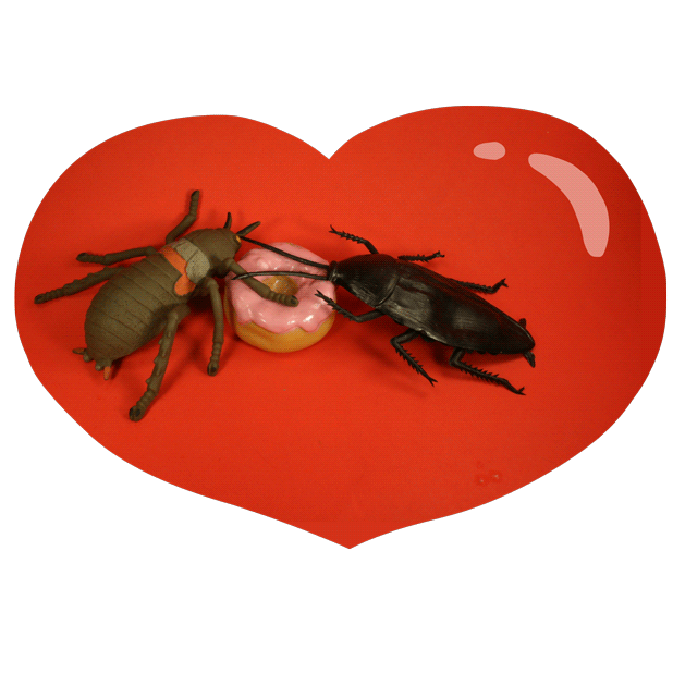 bug_donut.gif
