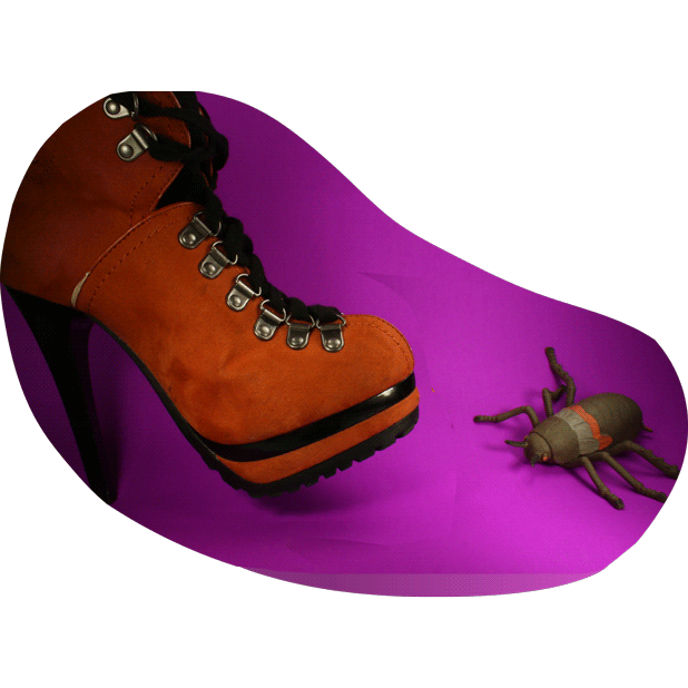 bug_boot.gif