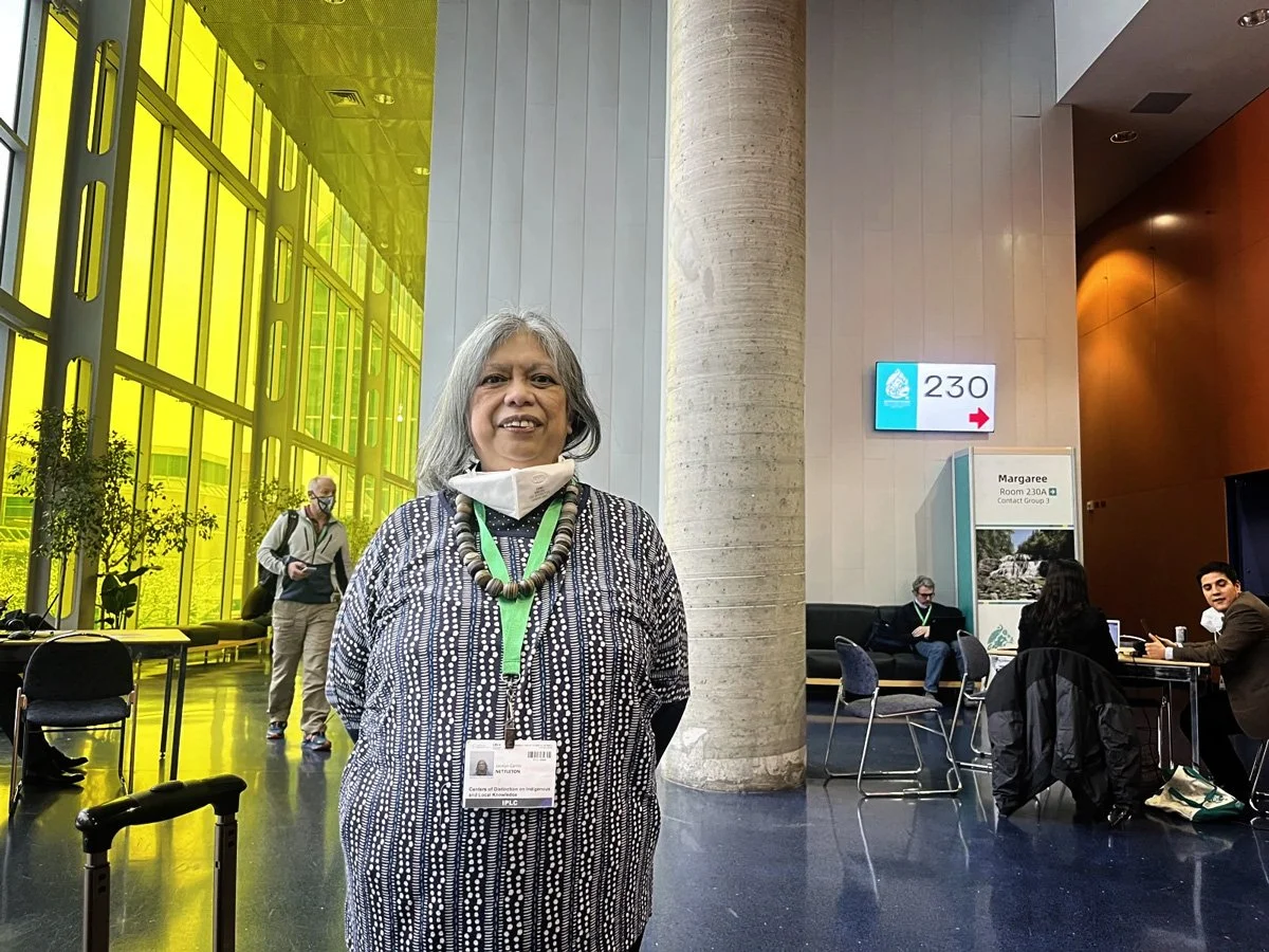 Will Indigenous territories be recognized as a form of conservation at COP15?