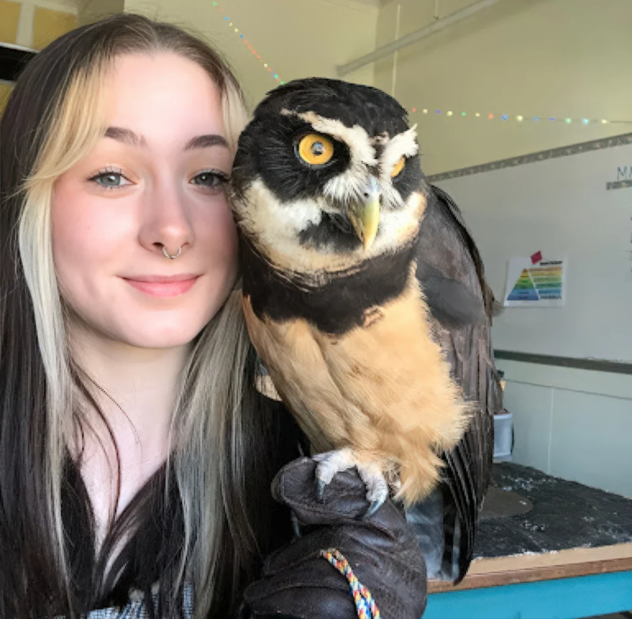 Super-cool' birds of prey make valuable contributions