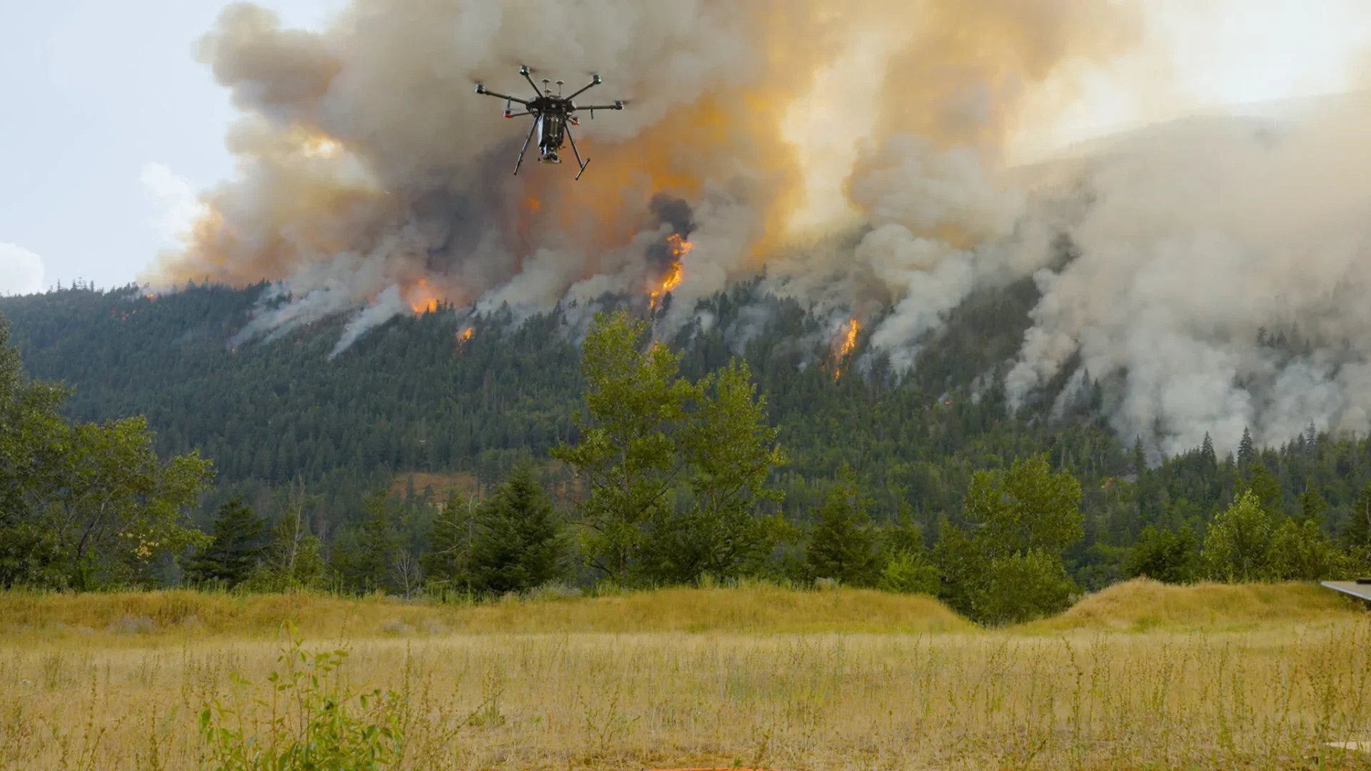 The startups reimagining Canada’s approach to wildfires