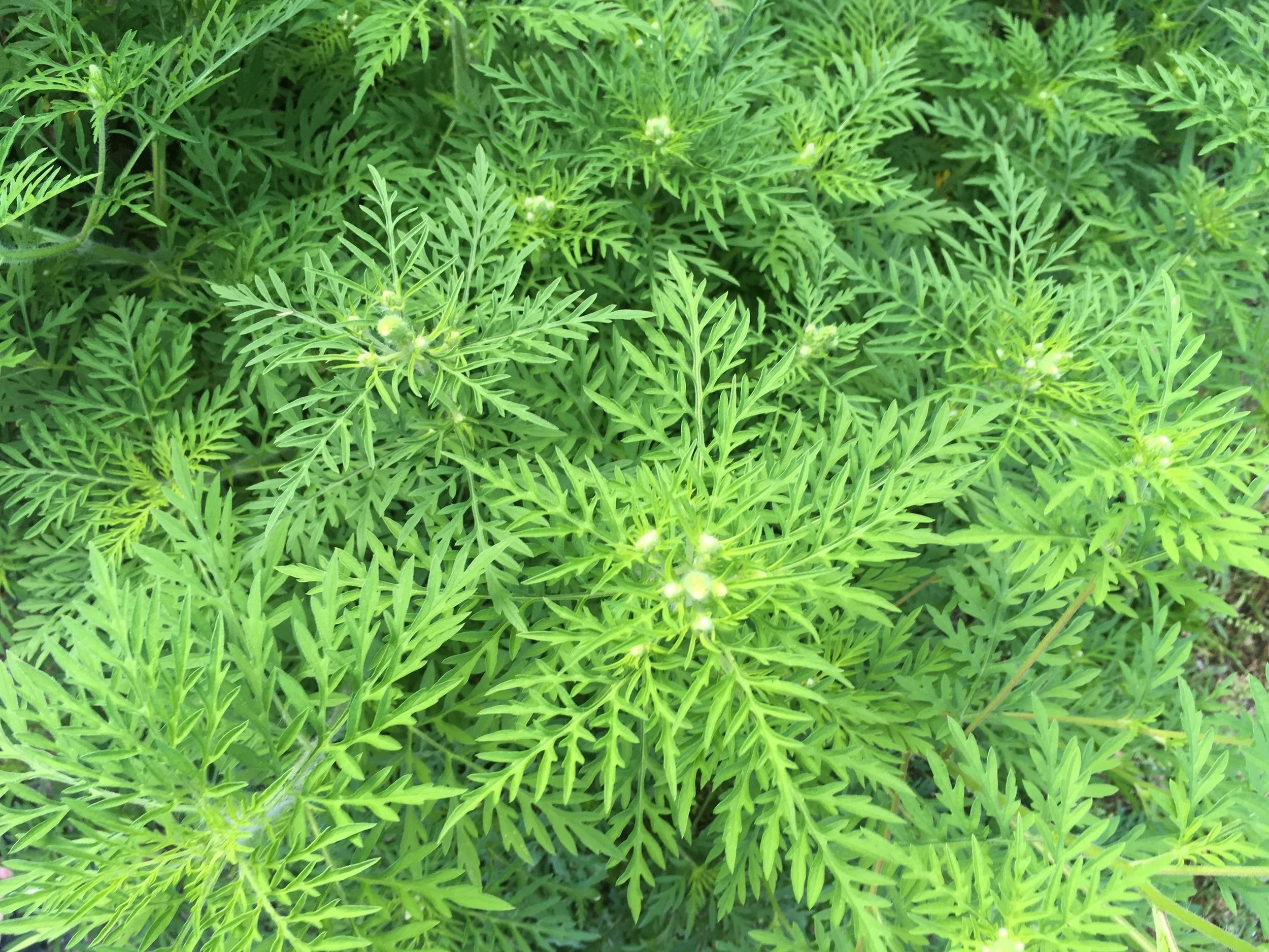 "Appreciate Everything" Talk and Summary