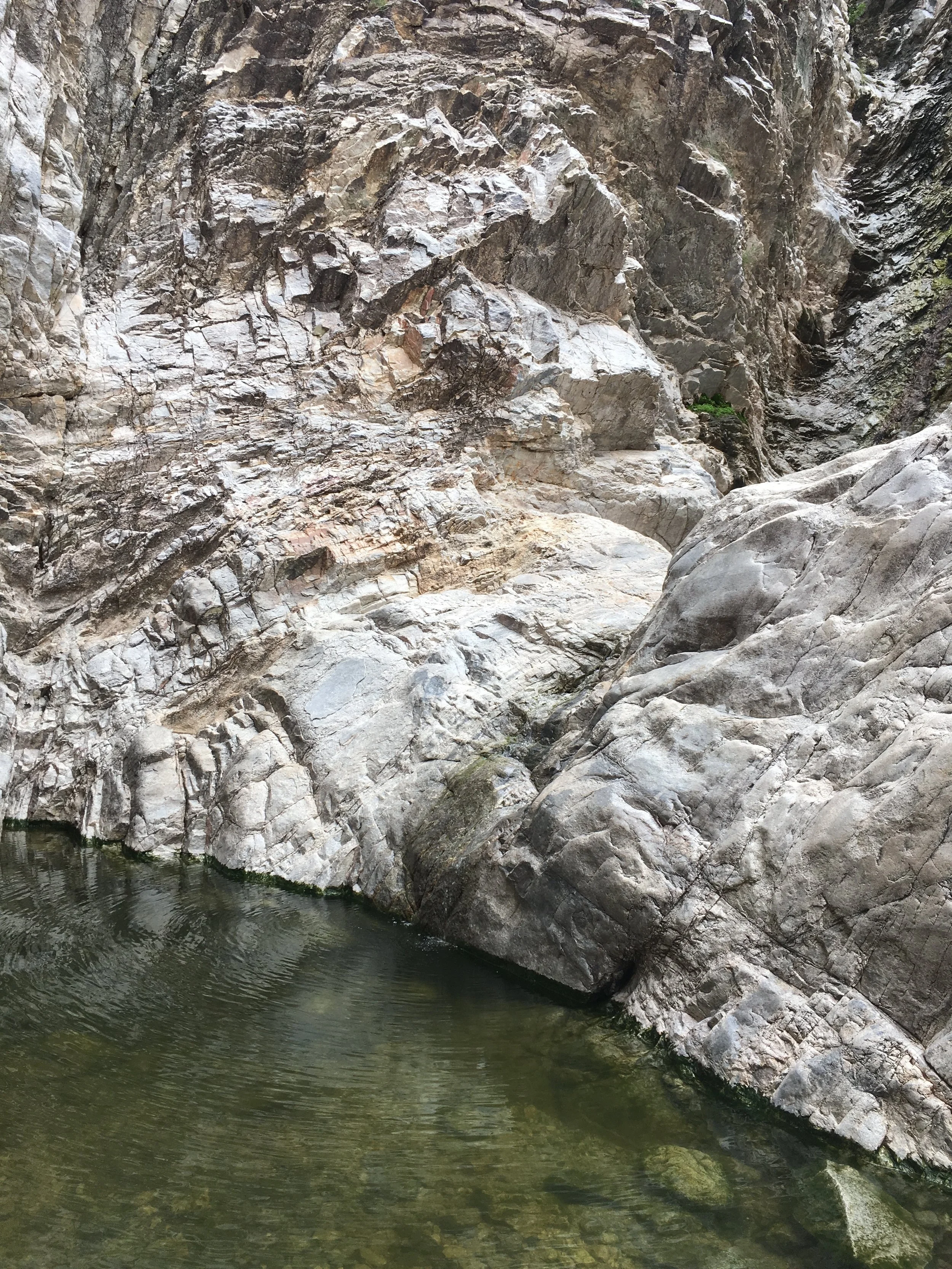 Living in the Now: The Now is All There Is: Free Group Meditation