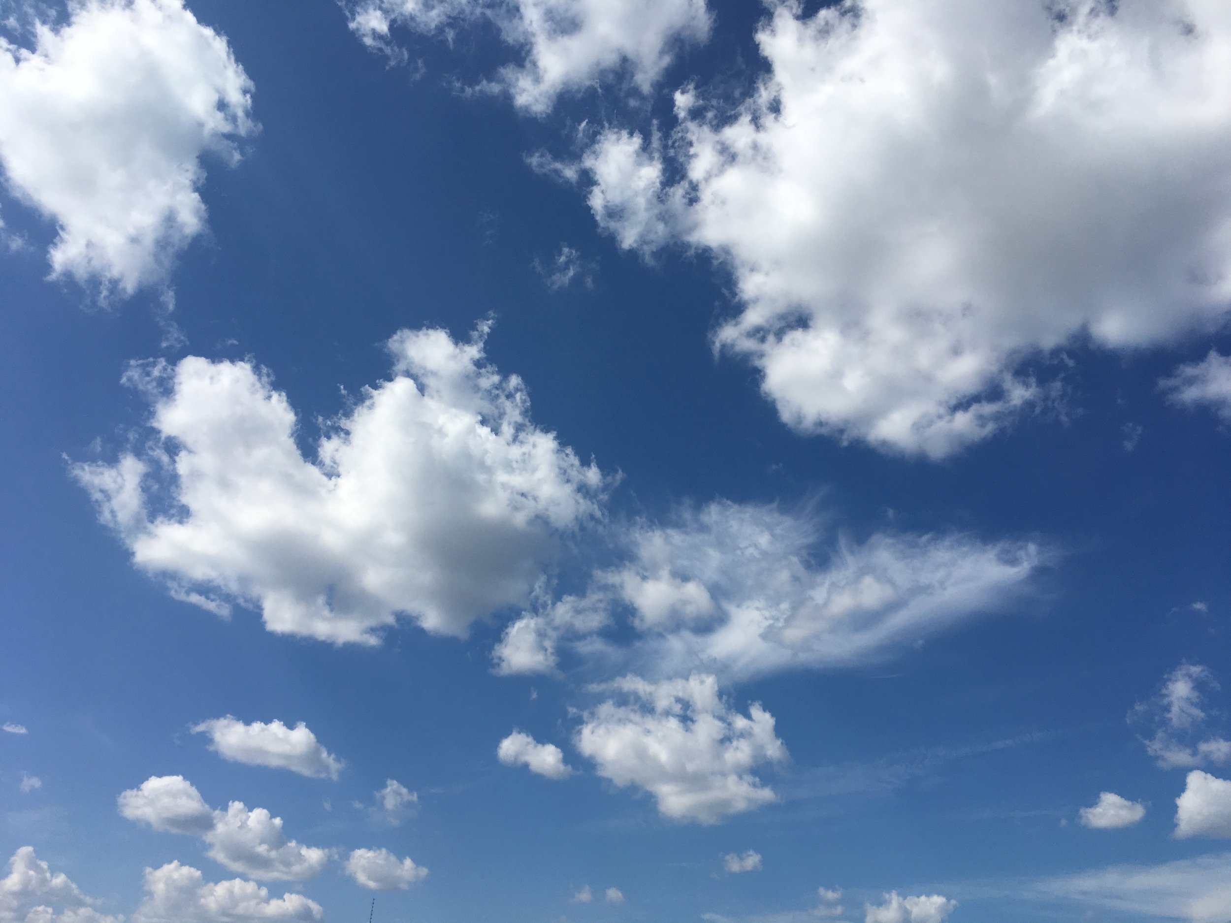 “Living in the Now: All Forms are Impermanent and Impersonal” Talk and Reference Notes