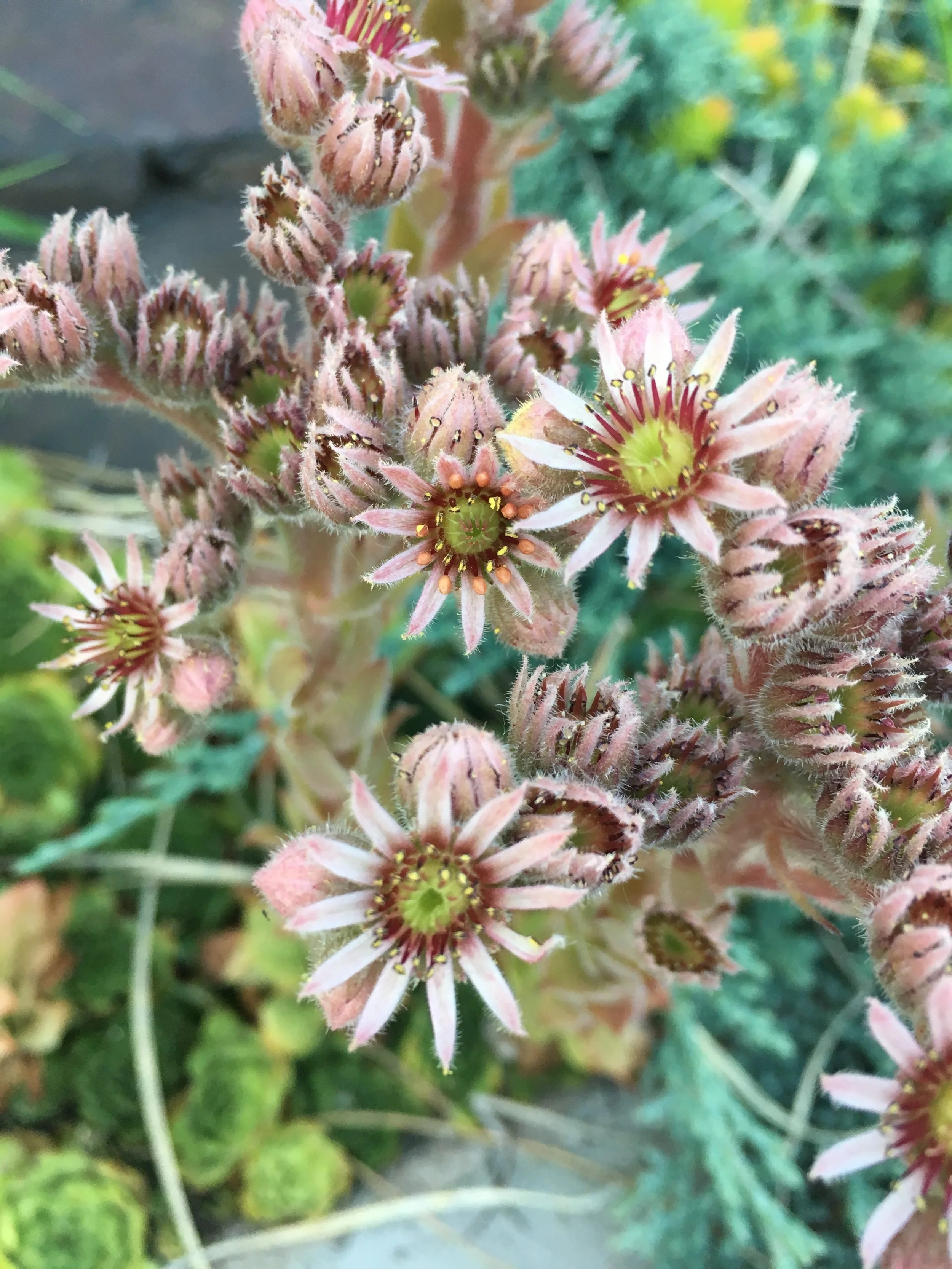 Relax and release mindfulness meditation