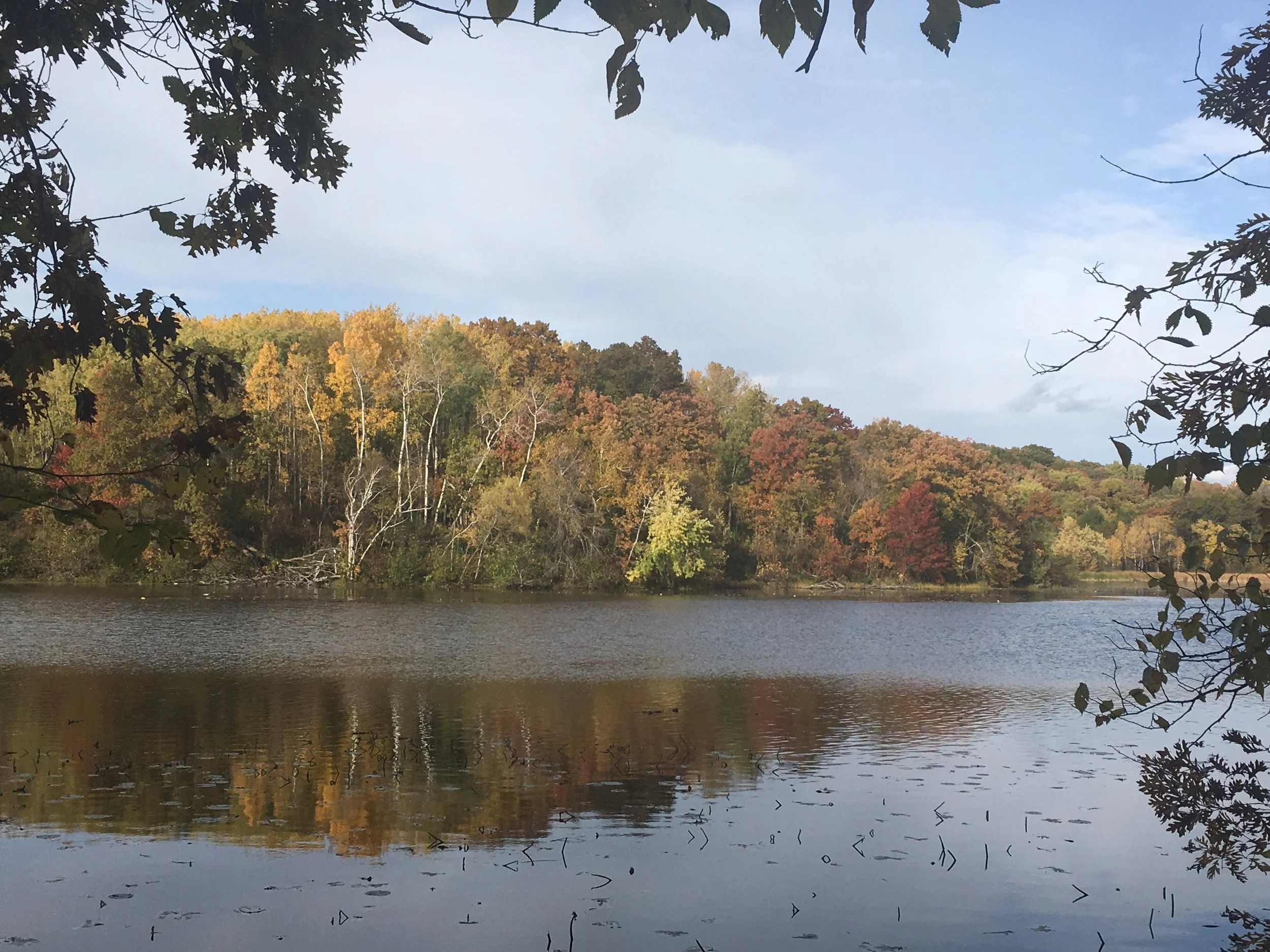 60-minute Concentration Meditation with Introductory Comments and Post-Meditation Discussion