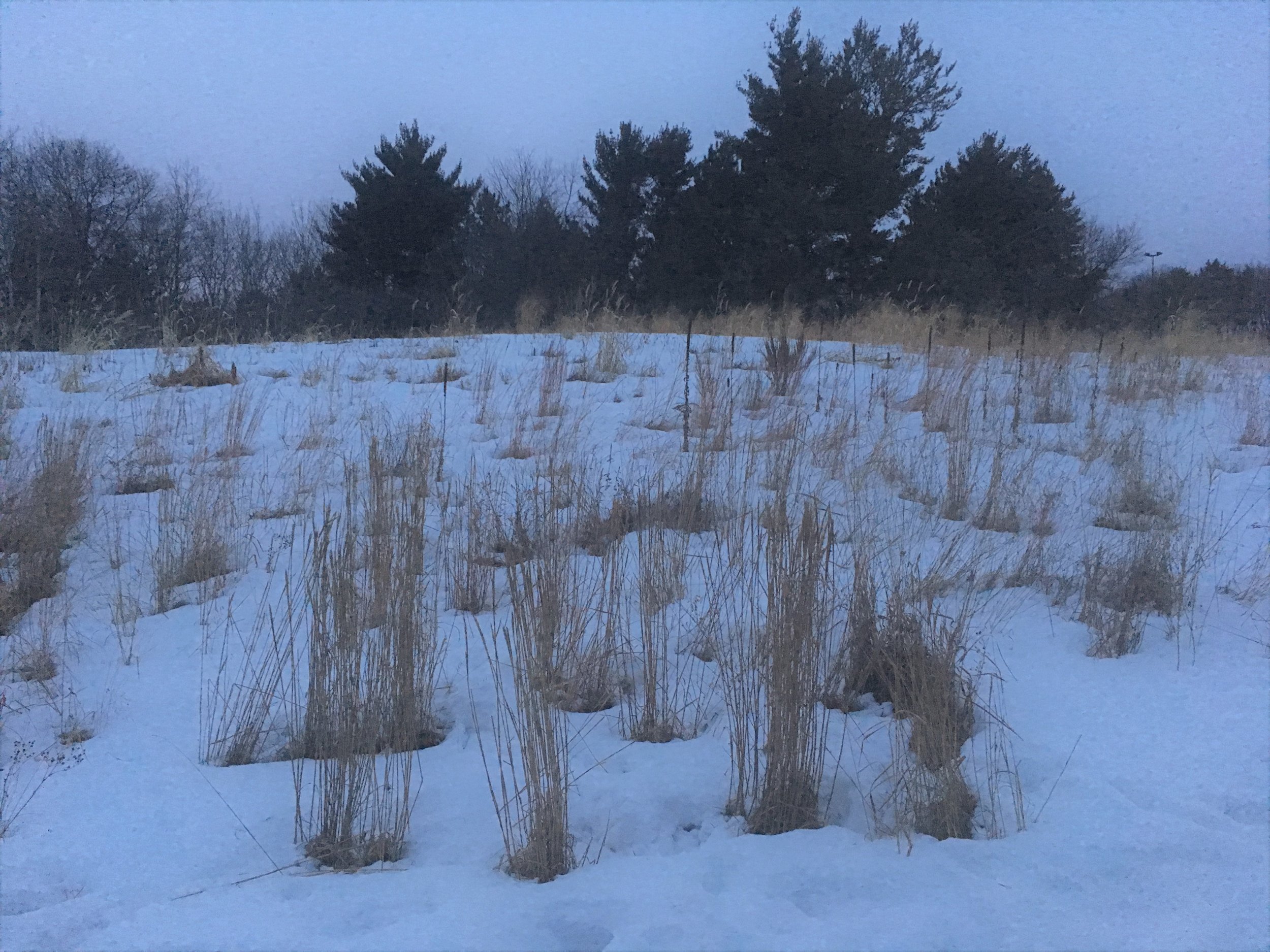 Free Group Meditation