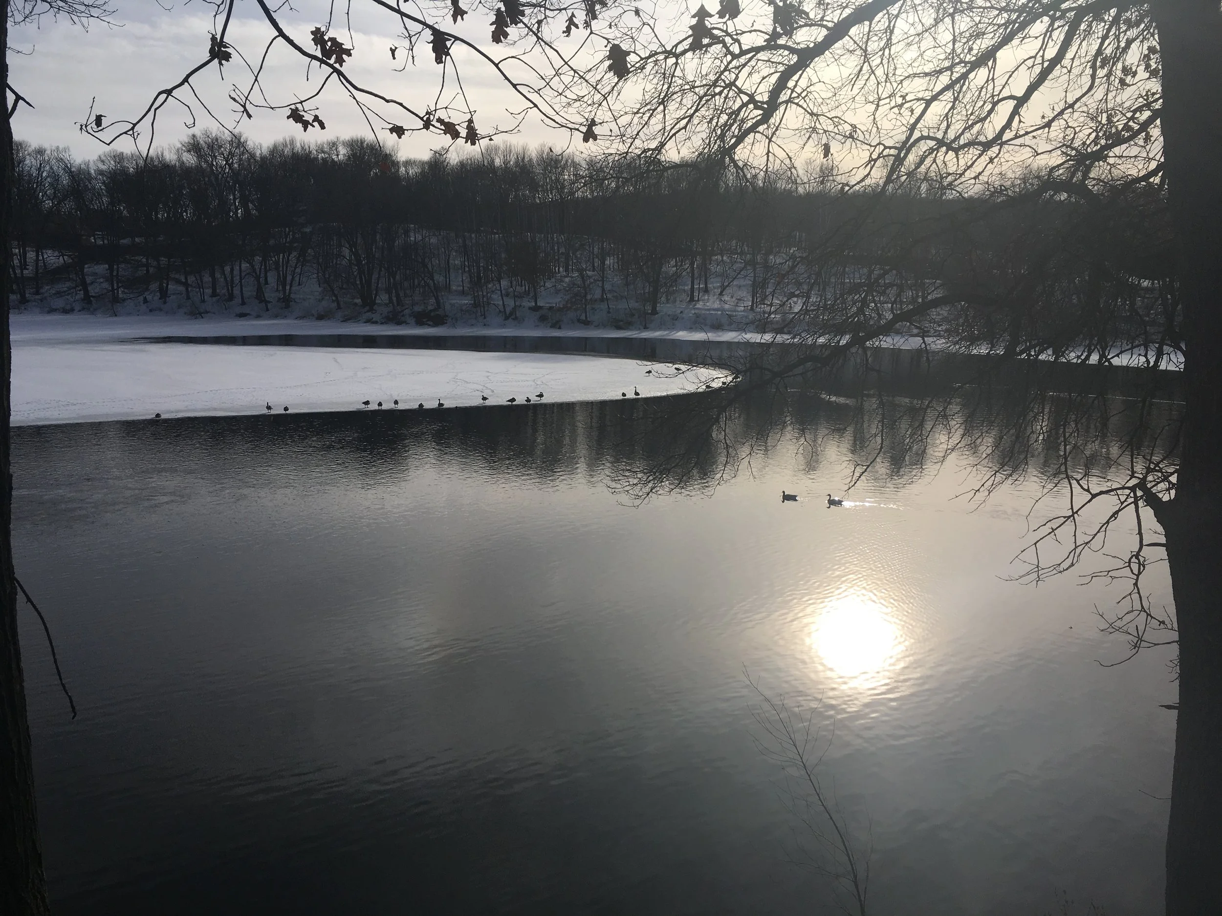 Free Group Meditation