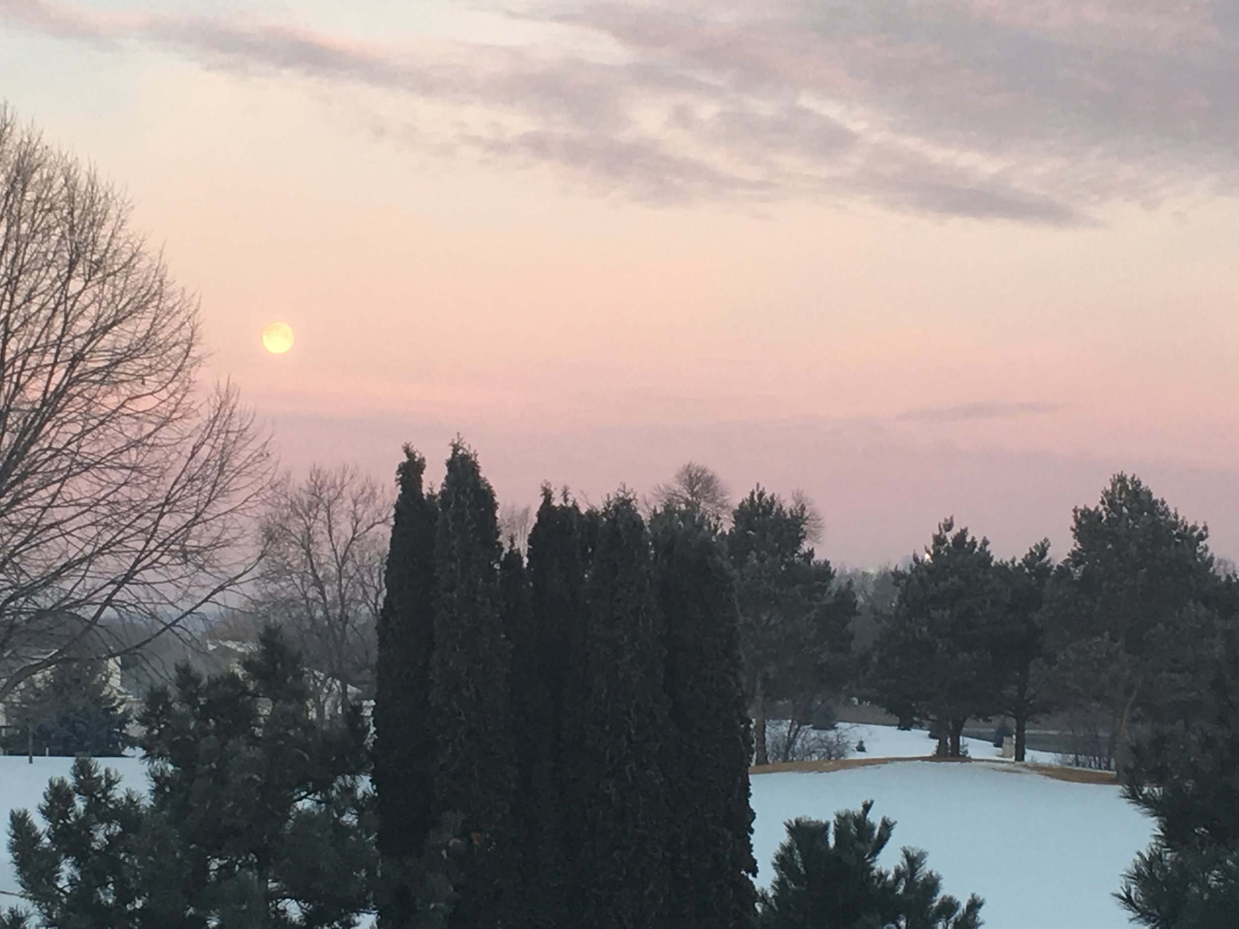 Free Group Meditation