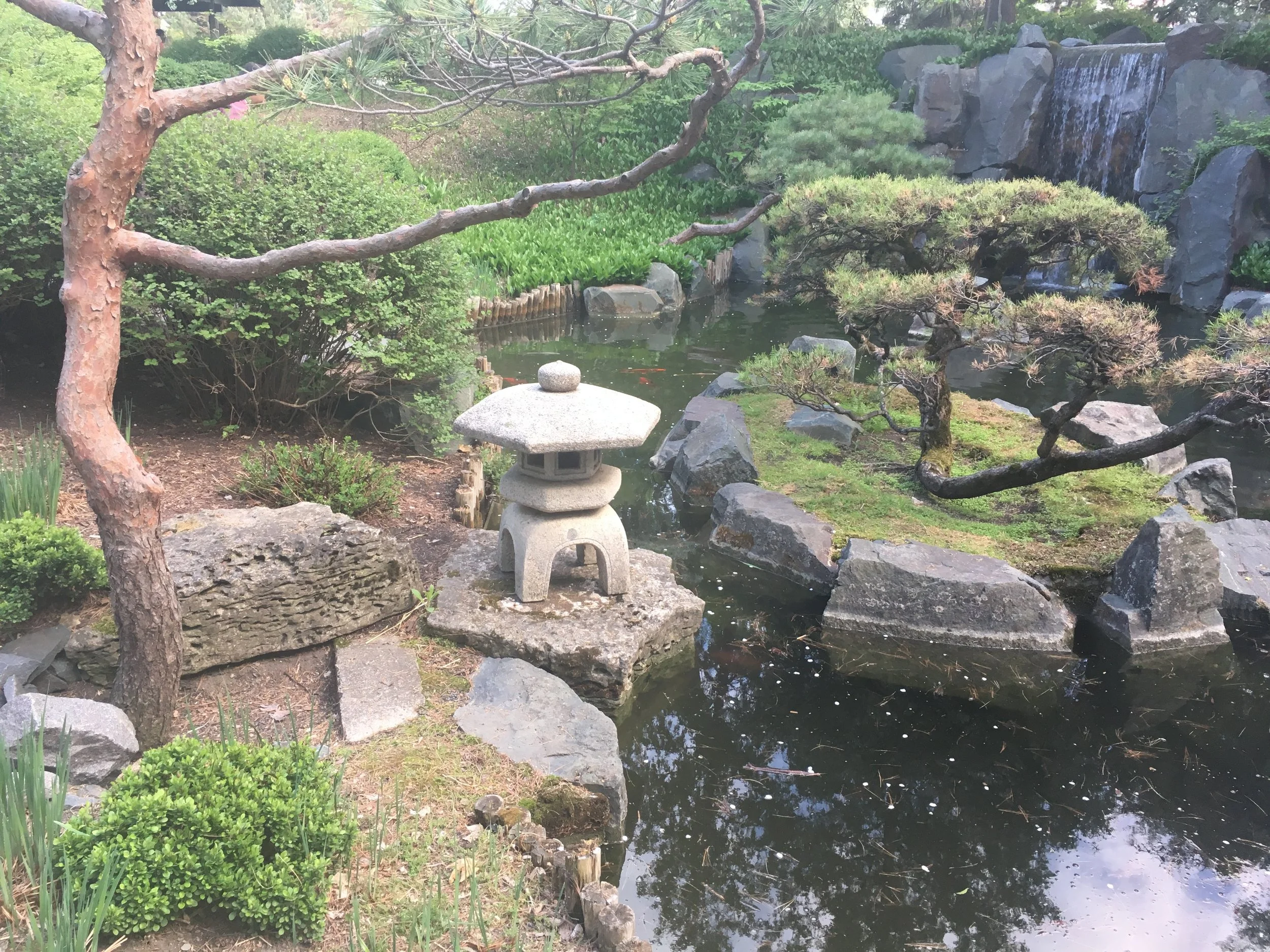 Japanese Garden with Water.JPG