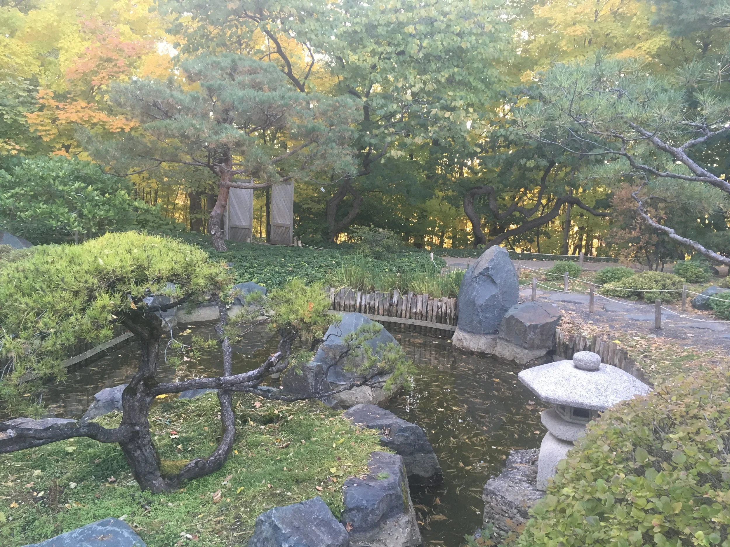 Pure Motives Lead to Successful Actions