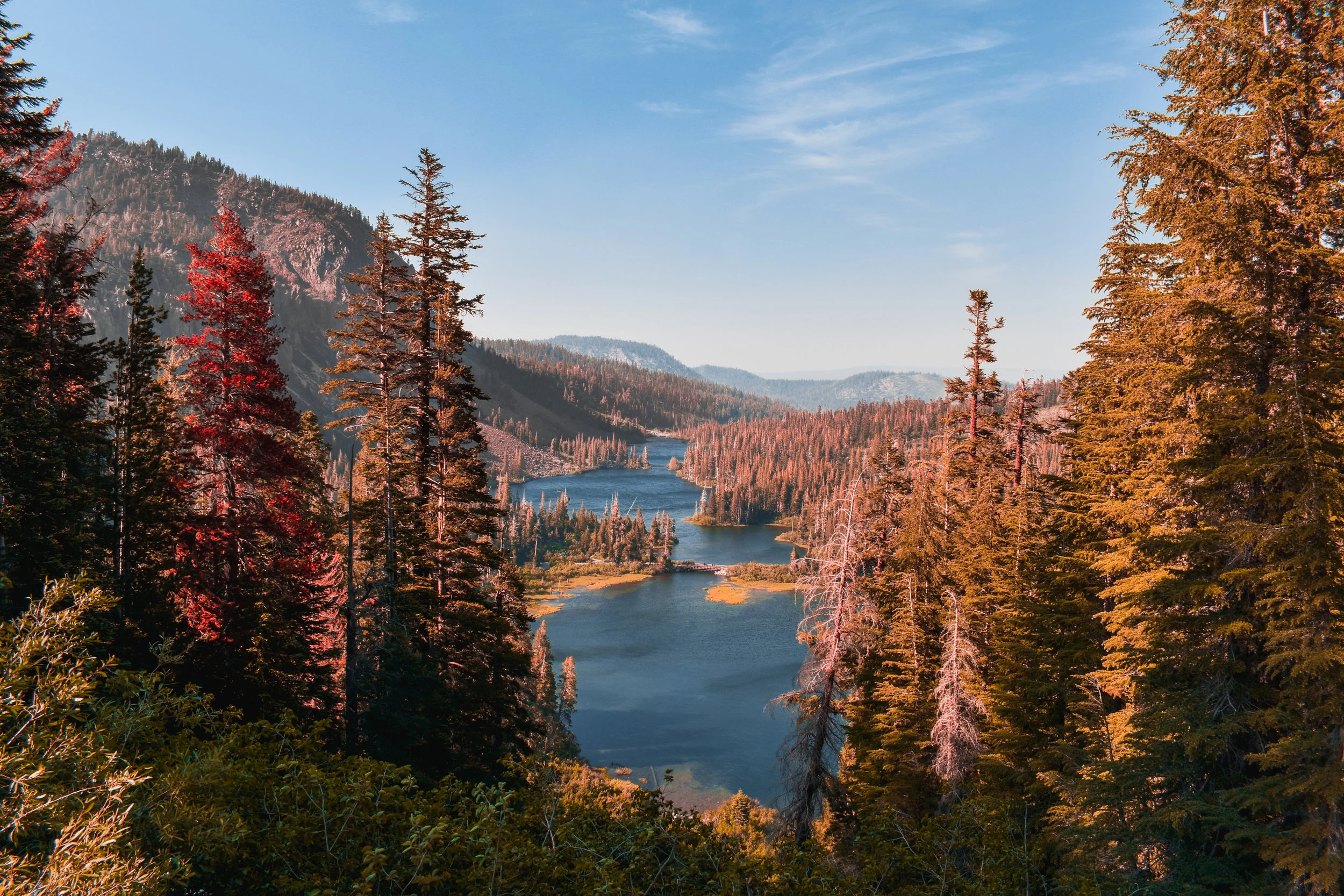 Free Physical and Virtual Group Meditation