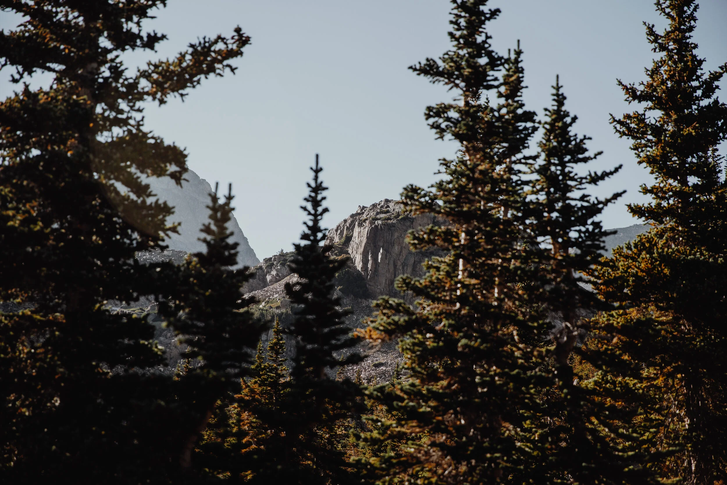 Free Virtual Group Meditation