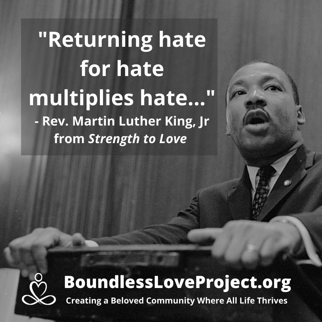 Martin Luther King Jr on the endless cycle of hatred.jpg