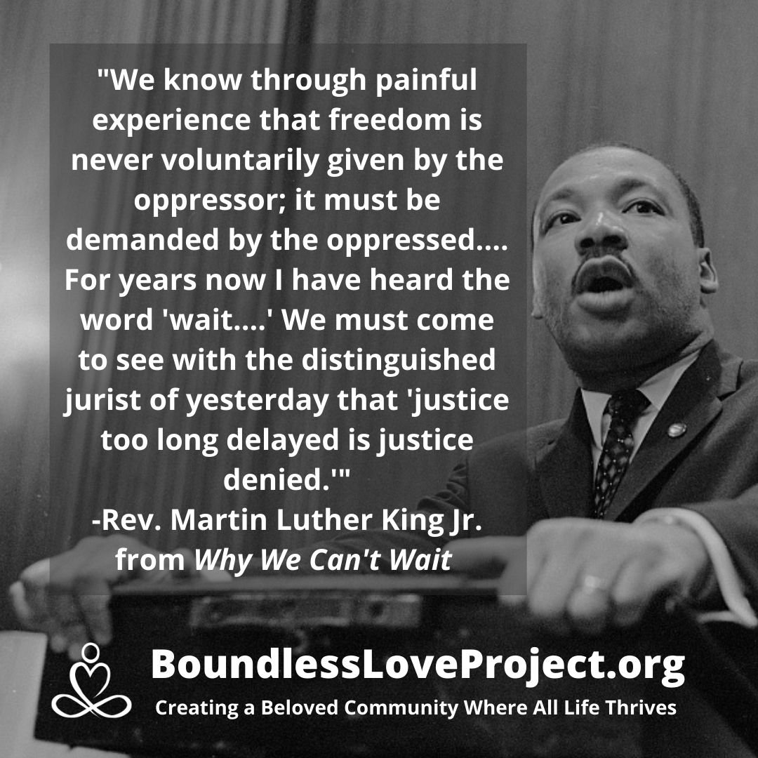 Martin Luther King Jr on how justice delayed in justice denied.jpg