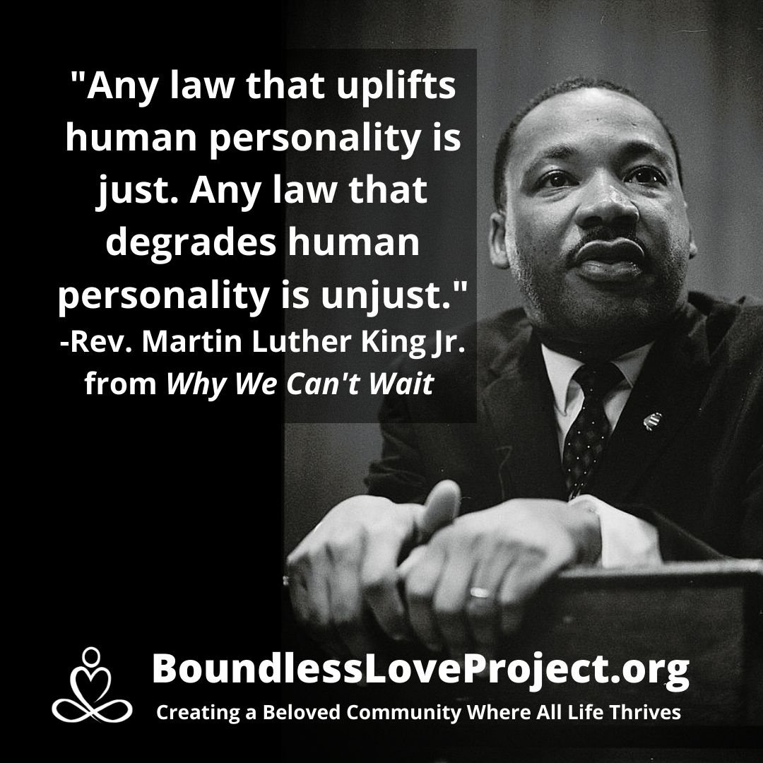 Martin Luther King Jr defines just and unjust laws.jpg