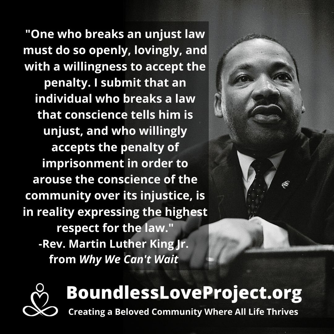 Martin Luther King Jr on how the civilly disobedient respect the law.jpg
