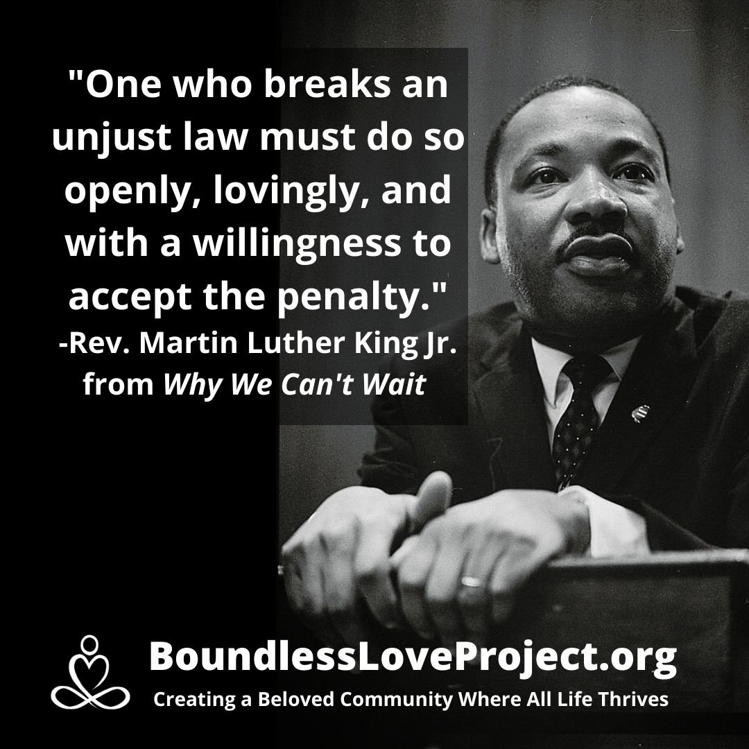 Martin Luther King Jr on how to do civil disobedience.jpg