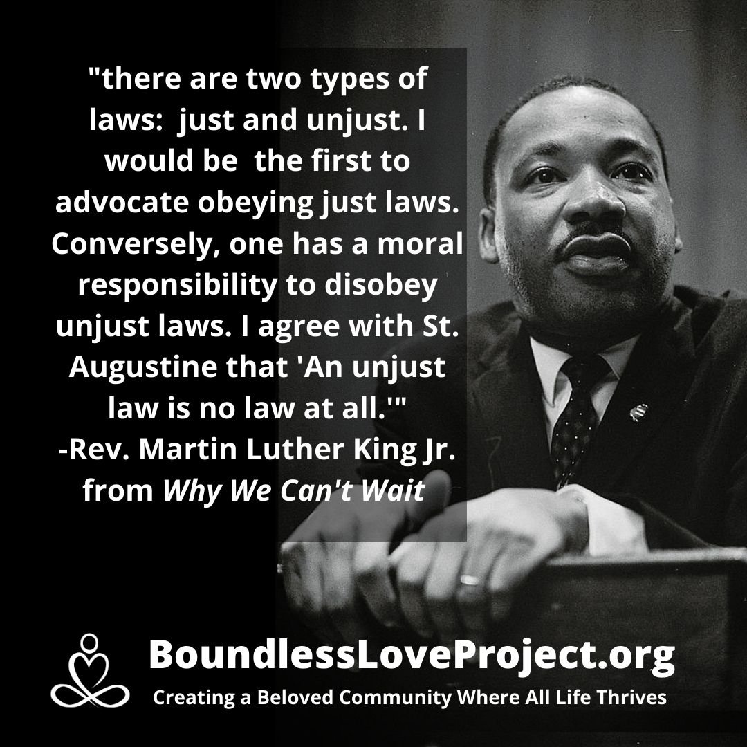Martin Luther King Jr on the need to disobey unjust laws.jpg