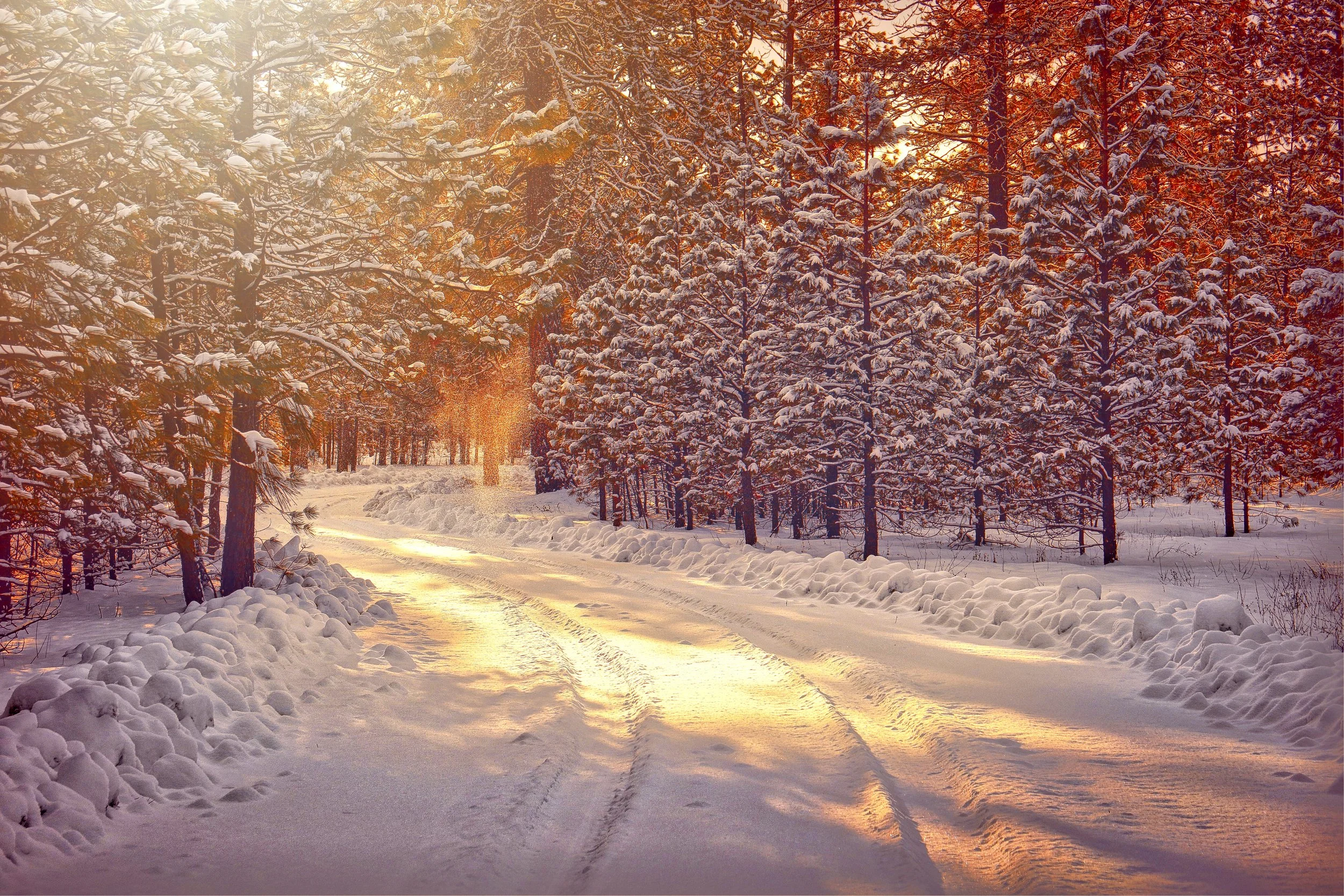 The School of Love: The BALADI Technique