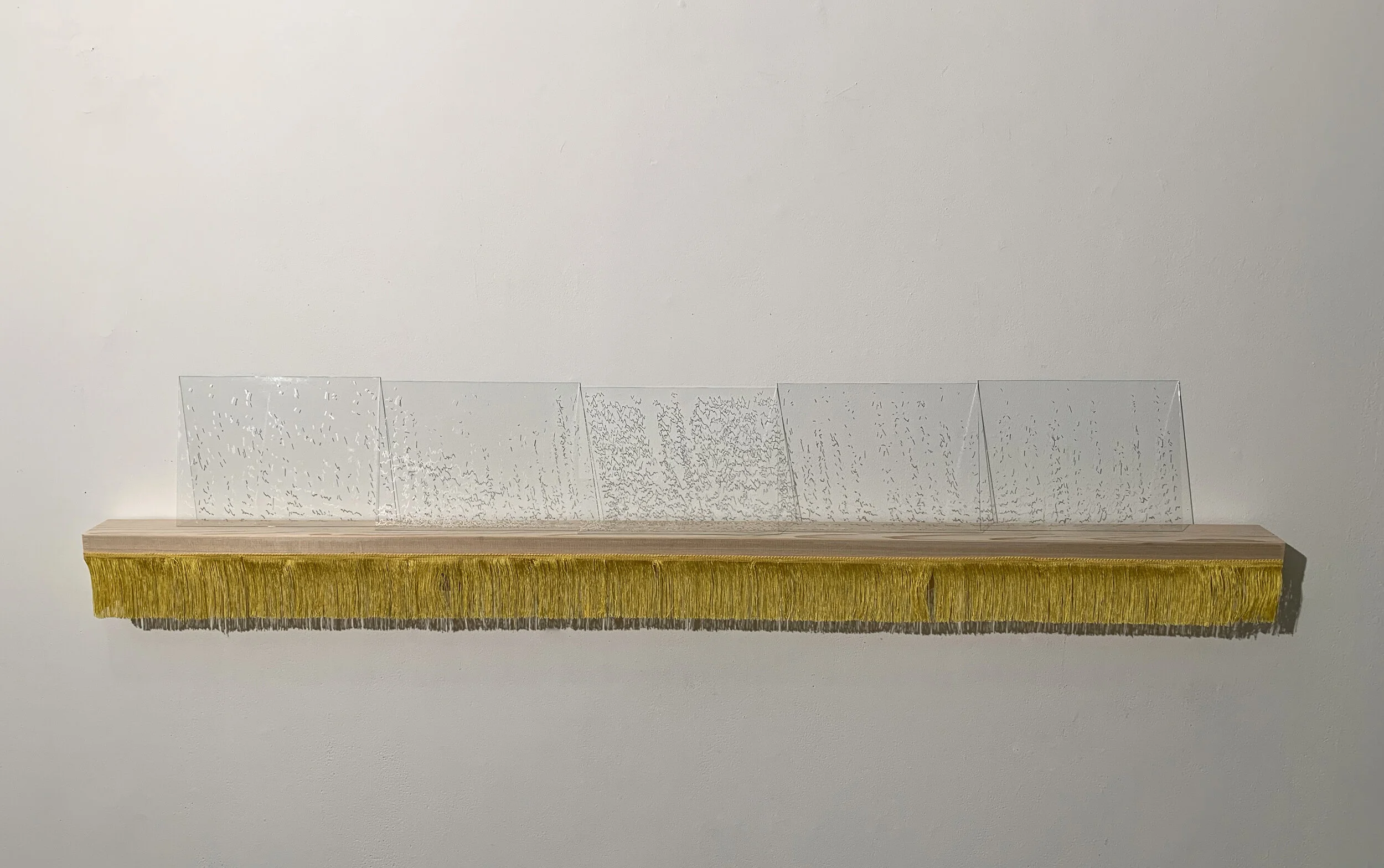 The landscape of my voice