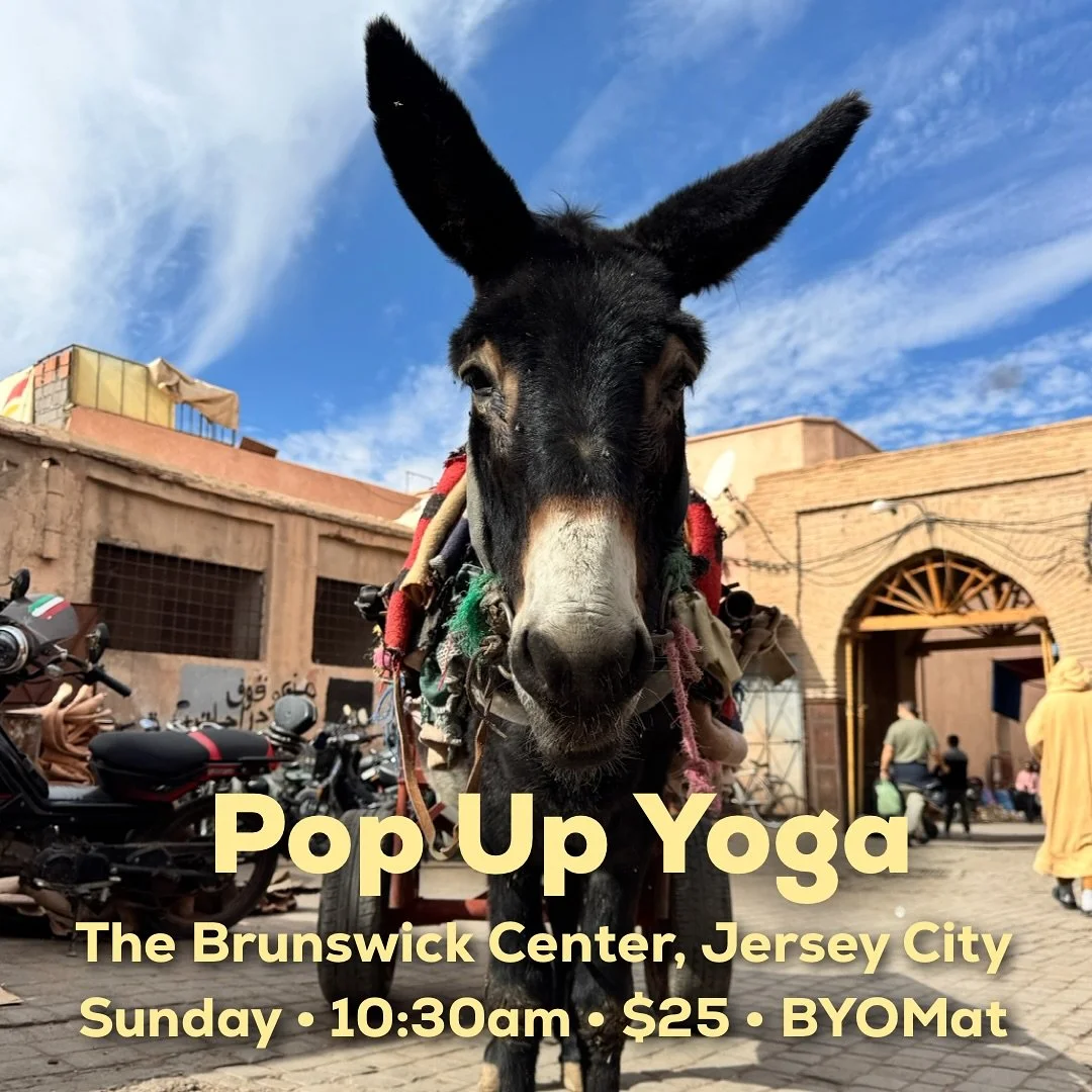 Join me for 𝐢𝐧-𝐩𝐞𝐫𝐬𝐨𝐧 𝐲𝐨𝐠𝐚 this weekend in downtown Jersey City:&thinsp;&thinsp;&thinsp;
&thinsp;&thinsp;&thinsp;
📆 Sunday, November 23, 2025&thinsp;&thinsp;&thinsp;
⏰ 𝟏𝟎:𝟑𝟎-𝟏𝟏:𝟑𝟎𝐚𝐦&thinsp;&thinsp;&thinsp;
📍189 Brunswick St, T