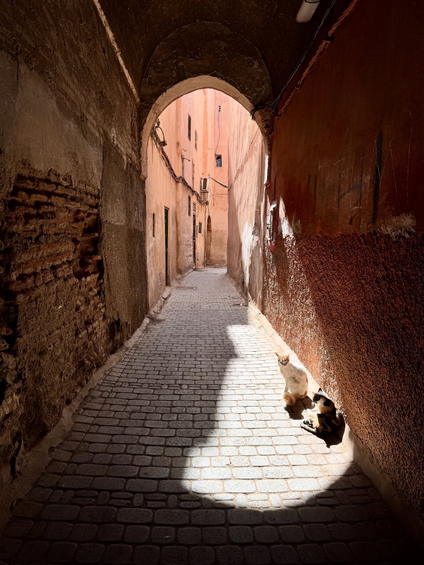 𝐌𝐨𝐫𝐨𝐜𝐜𝐚𝐧 𝐀𝐝𝐯𝐞𝐧𝐭𝐮𝐫𝐞 𝟐𝟎𝟐𝟓&thinsp;&thinsp;&thinsp;&thinsp;&thinsp;&thinsp;&thinsp;&thinsp;&thinsp;&thinsp;&thinsp;&thinsp;&thinsp;&thinsp;&thinsp;&thinsp;
&thinsp;𝘳𝘦𝘤𝘢𝘱 𝘱𝘢𝘳𝘵 𝘝𝘐𝘐𝘐 &thinsp;&thinsp;&thinsp;&thinsp;&thinsp;