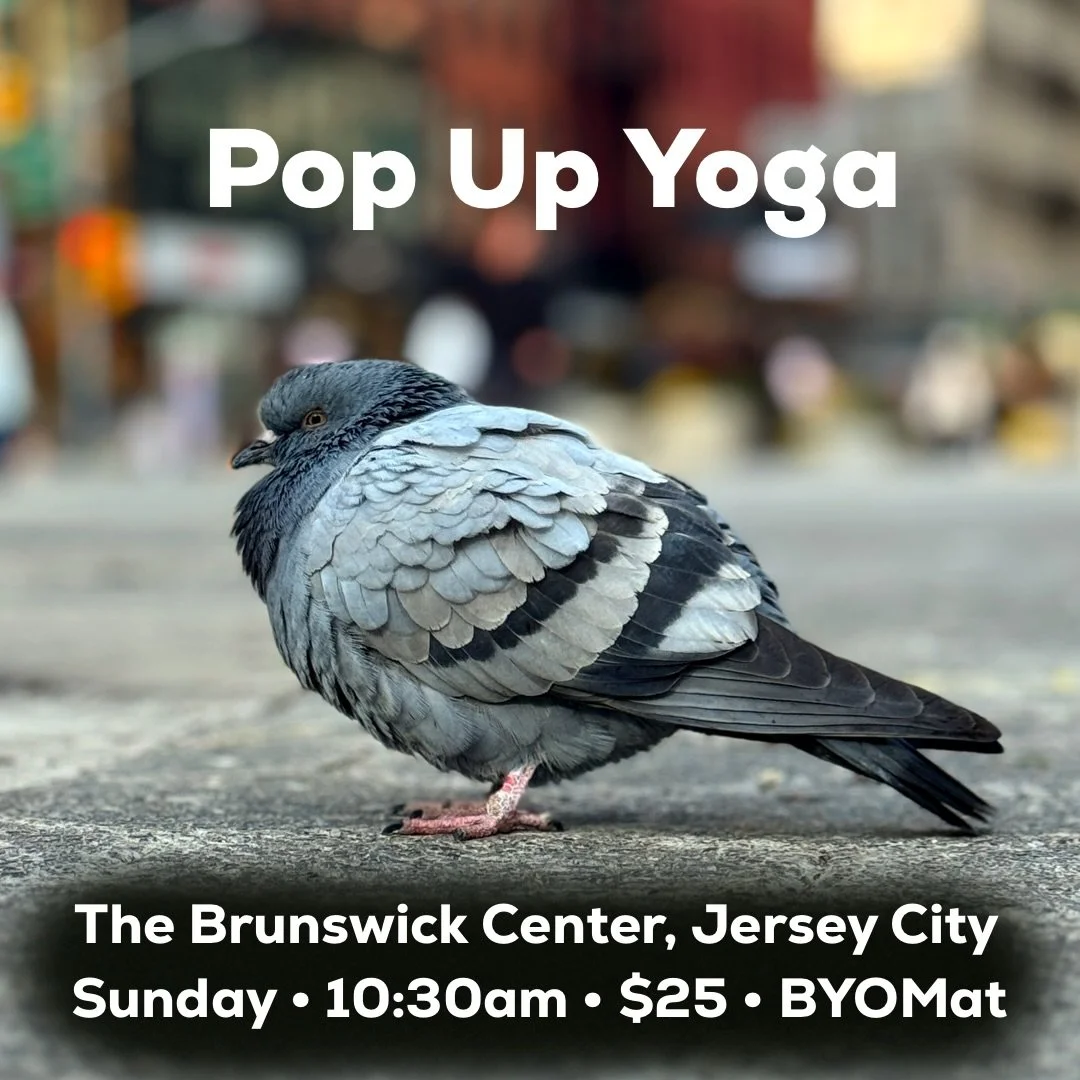 Join me for 𝐢𝐧-𝐩𝐞𝐫𝐬𝐨𝐧 𝐲𝐨𝐠𝐚 this weekend in downtown Jersey City:&thinsp;&thinsp;&thinsp;
&thinsp;&thinsp;&thinsp;
📆 Sunday, January 11, 2026&thinsp;&thinsp;&thinsp;
⏰ 𝟏𝟎:𝟑𝟎-𝟏𝟏:𝟑𝟎𝐚𝐦&thinsp;&thinsp;&thinsp;
📍189 Brunswick St, Th