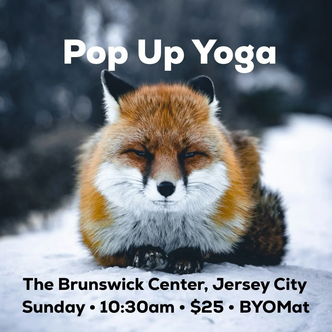 Join me for 𝐢𝐧-𝐩𝐞𝐫𝐬𝐨𝐧 𝐲𝐨𝐠𝐚 this weekend in downtown Jersey City:&thinsp;&thinsp;&thinsp;&thinsp;
&thinsp;&thinsp;&thinsp;&thinsp;
📆 Sunday, January 25, 2026&thinsp;&thinsp;
⏰ 𝟏𝟎:𝟑𝟎-𝟏𝟏:𝟑𝟎𝐚𝐦&thinsp;&thinsp;&thinsp;&thinsp;
📍189 