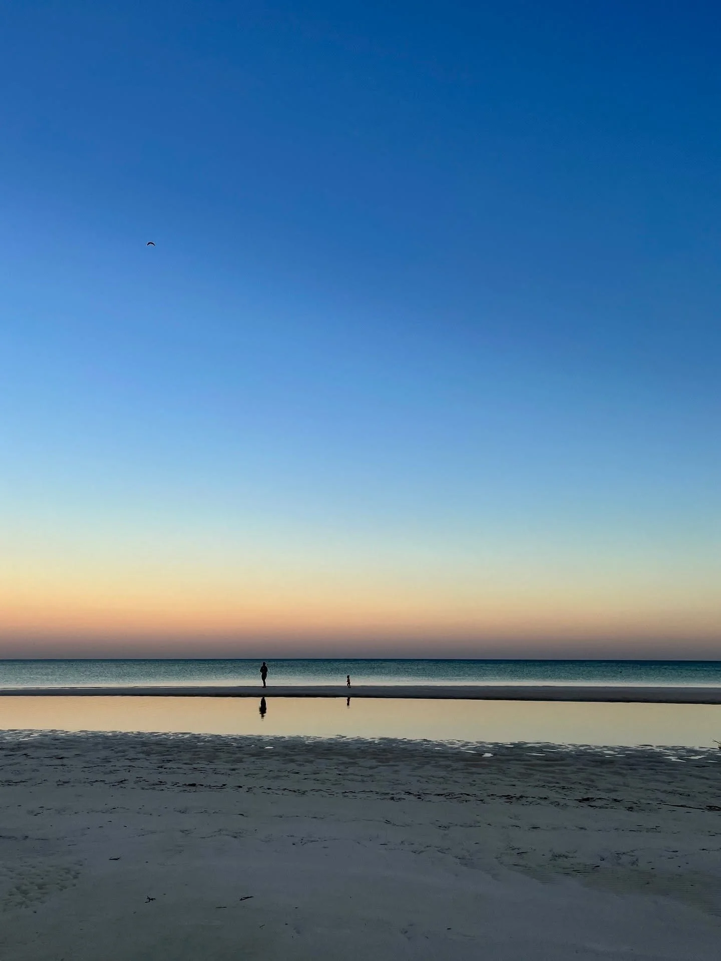 Sublime scenes from our adventures on this Earth Day:&thinsp;
&thinsp;
1. Sunrise colors, Mexico&thinsp;
2. Sandbar strolls, Mexico&thinsp;
3. Cactus flower, Sicily (they bloom for 1 day only)&thinsp;
4. Aegean landscape, Paros, Greece&thinsp;
5. Sah