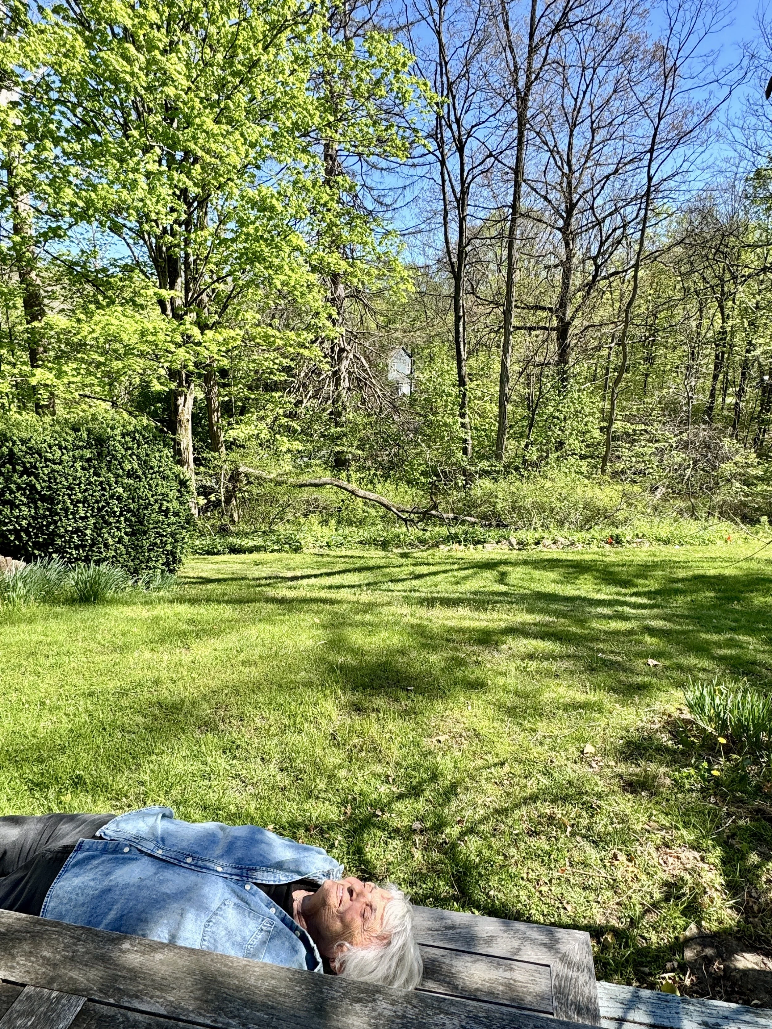 IMG_1340.jpeg