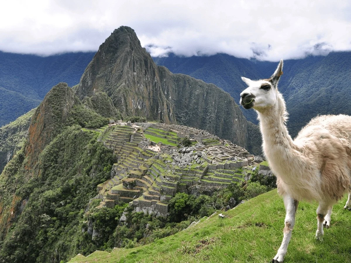 🦙 𝐌𝐚𝐜𝐡𝐮 𝐏𝐢𝐜𝐜𝐡𝐮 🦙&thinsp;
&thinsp;
🏞️ Join me on this 𝐛𝐮𝐜𝐤𝐞𝐭 𝐥𝐢𝐬𝐭 adventure to one of the 𝐒𝐞𝐯𝐞𝐧 𝐖𝐨𝐧𝐝𝐞𝐫𝐬 𝐨𝐟 𝐭𝐡𝐞 𝐖𝐨𝐫𝐥𝐝! &thinsp;
&thinsp;
I&rsquo;m so excited to share that I&rsquo;ll be partnering with @int