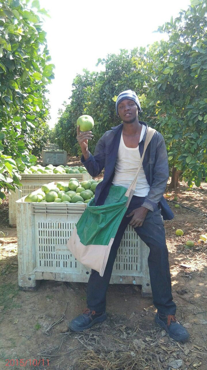 Dickson, an Agrostudies intern who is now a Farm Manager for SUGECO at Rufiji