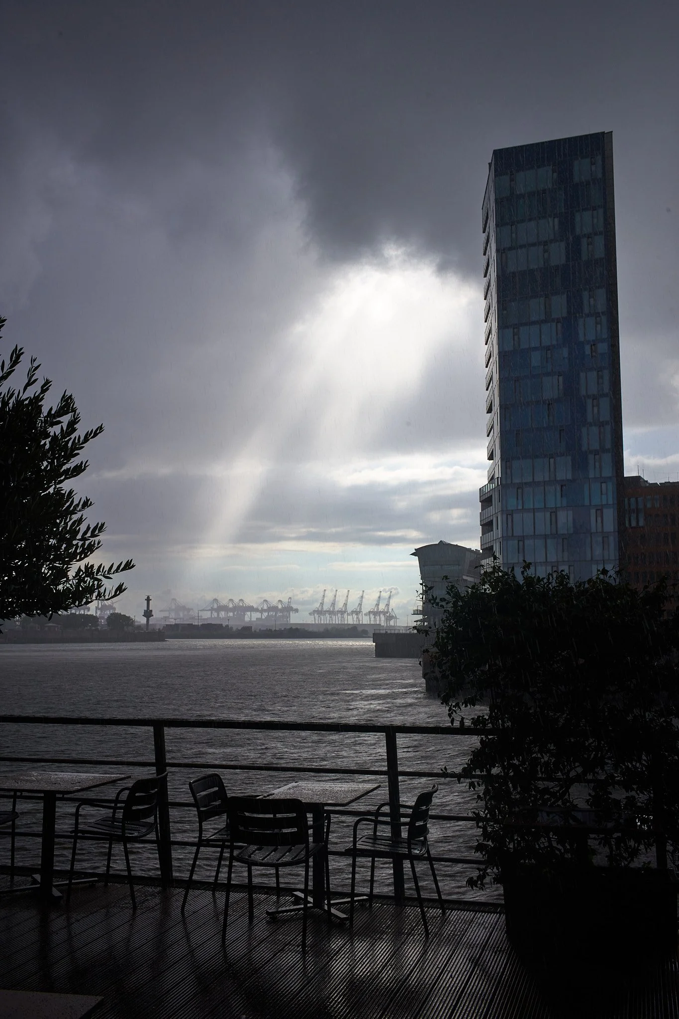 L1005567.jpg