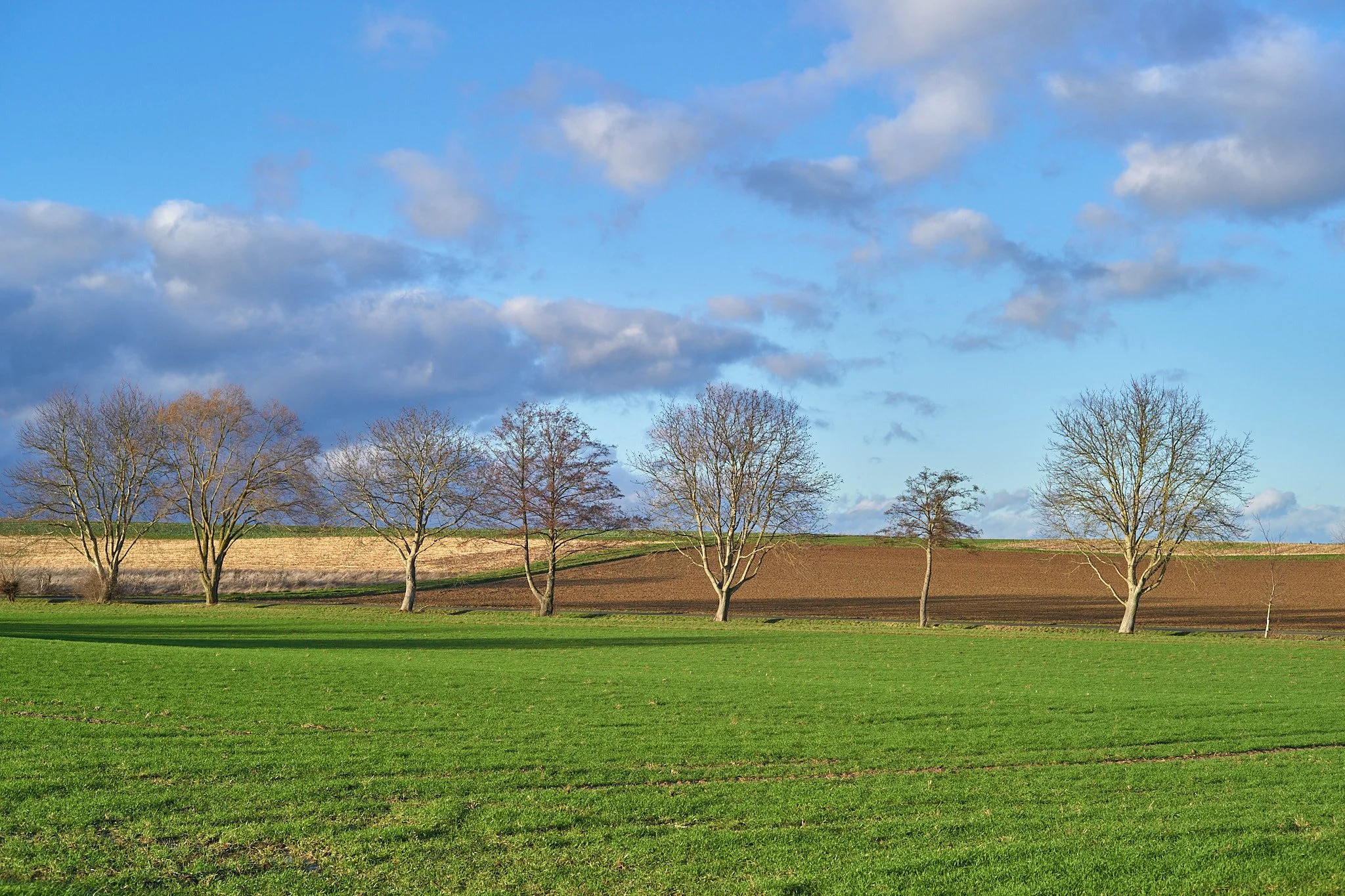 L1006785.jpg