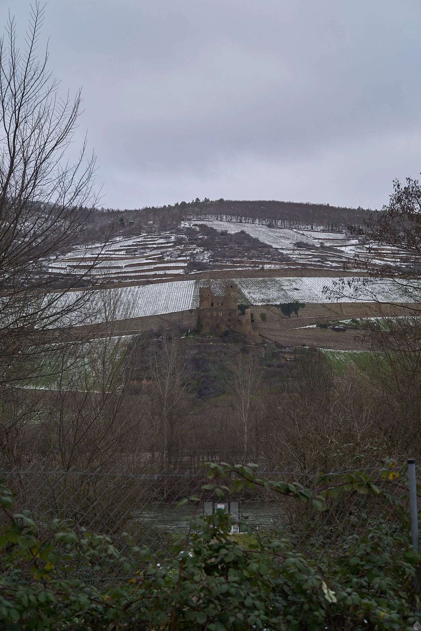 L1006904.jpg