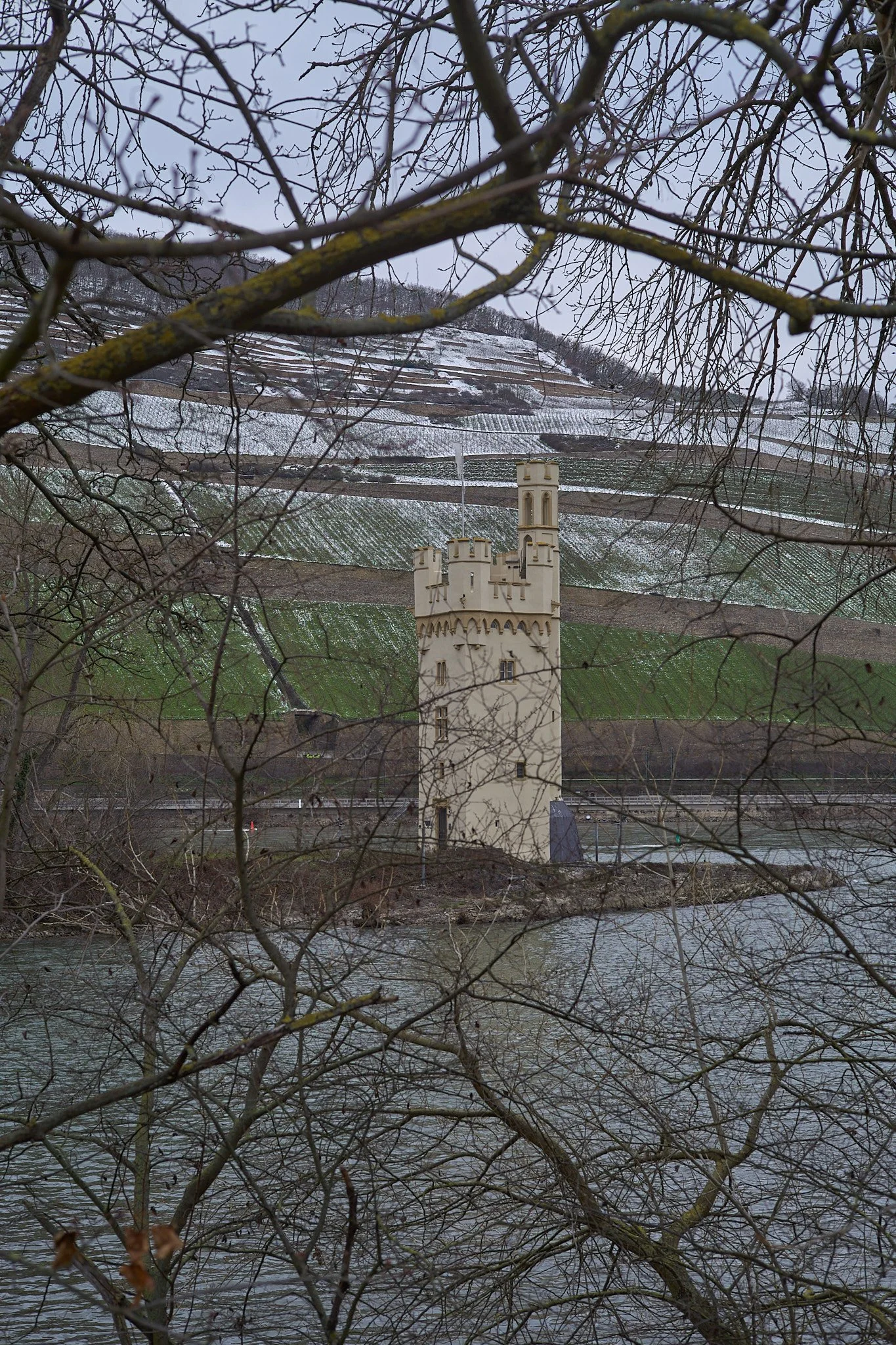 L1006908.jpg