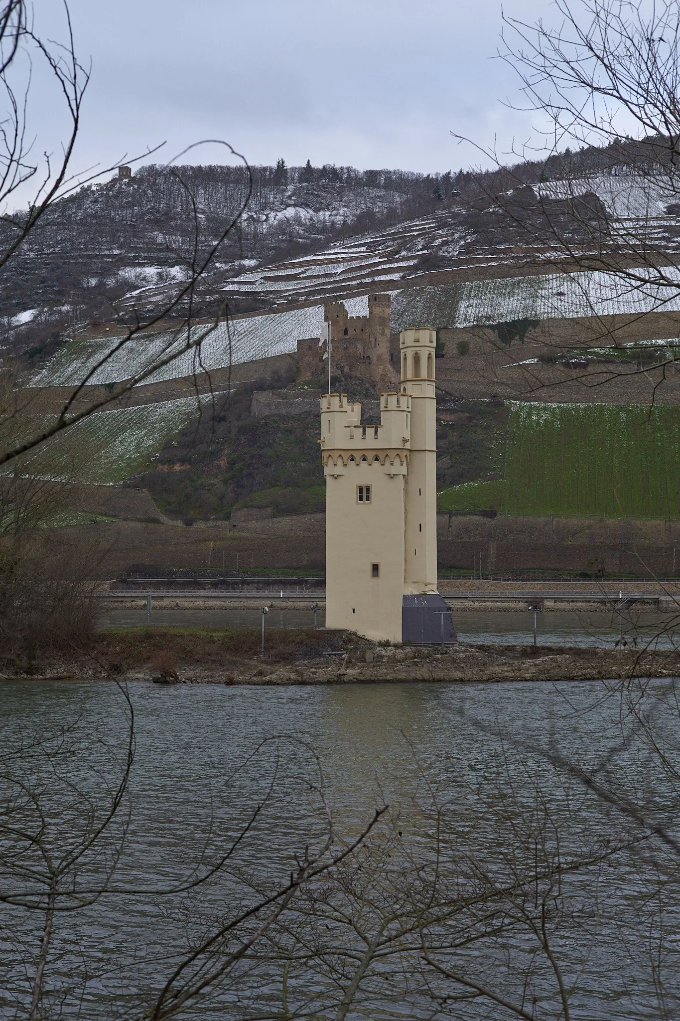 L1006917.jpg