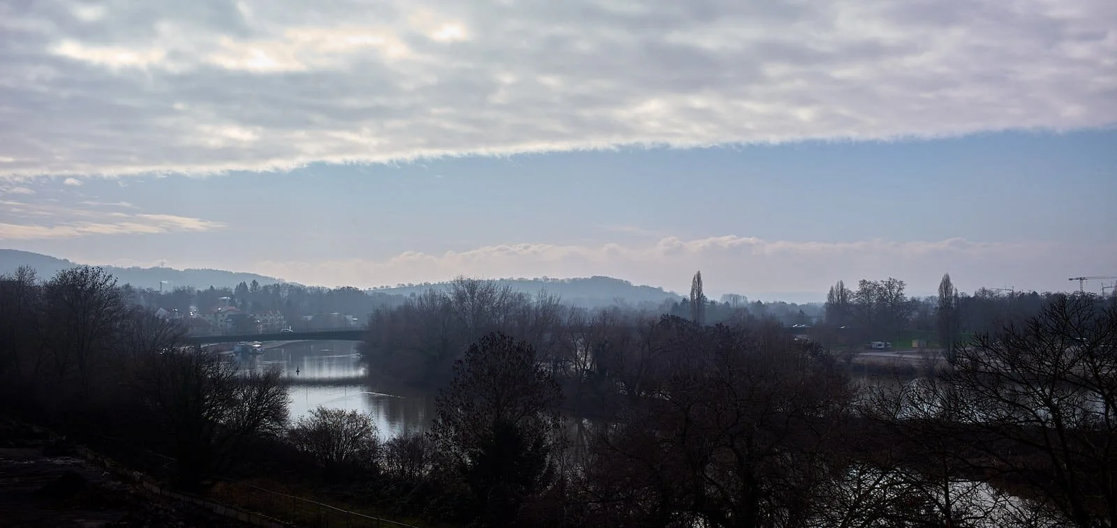 L1007010.jpg