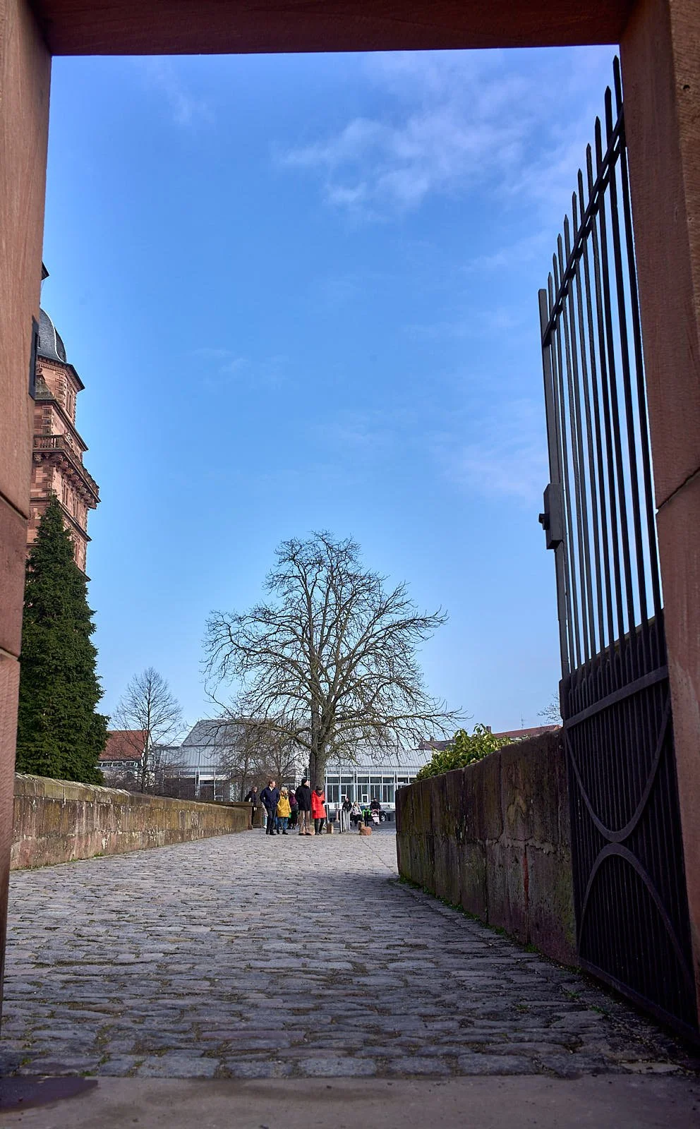 L1007015.jpg