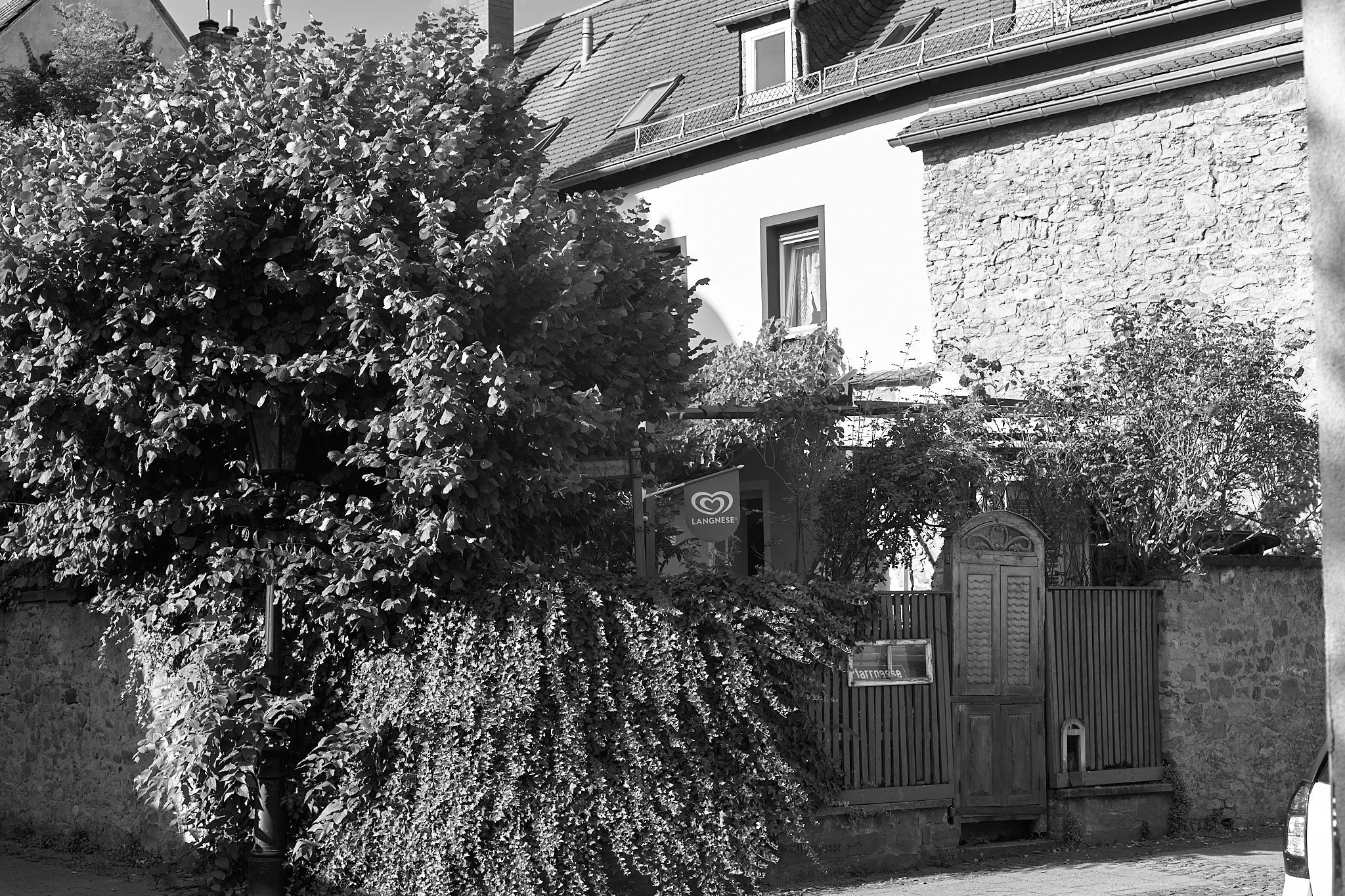 L1000575.jpg