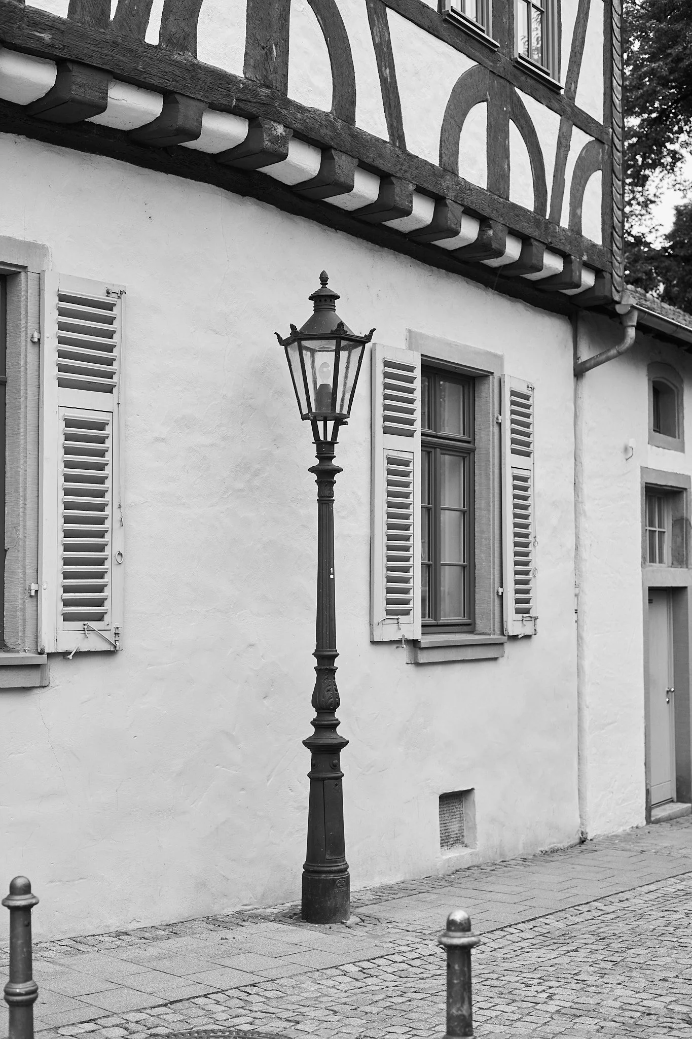 L1000604.jpg