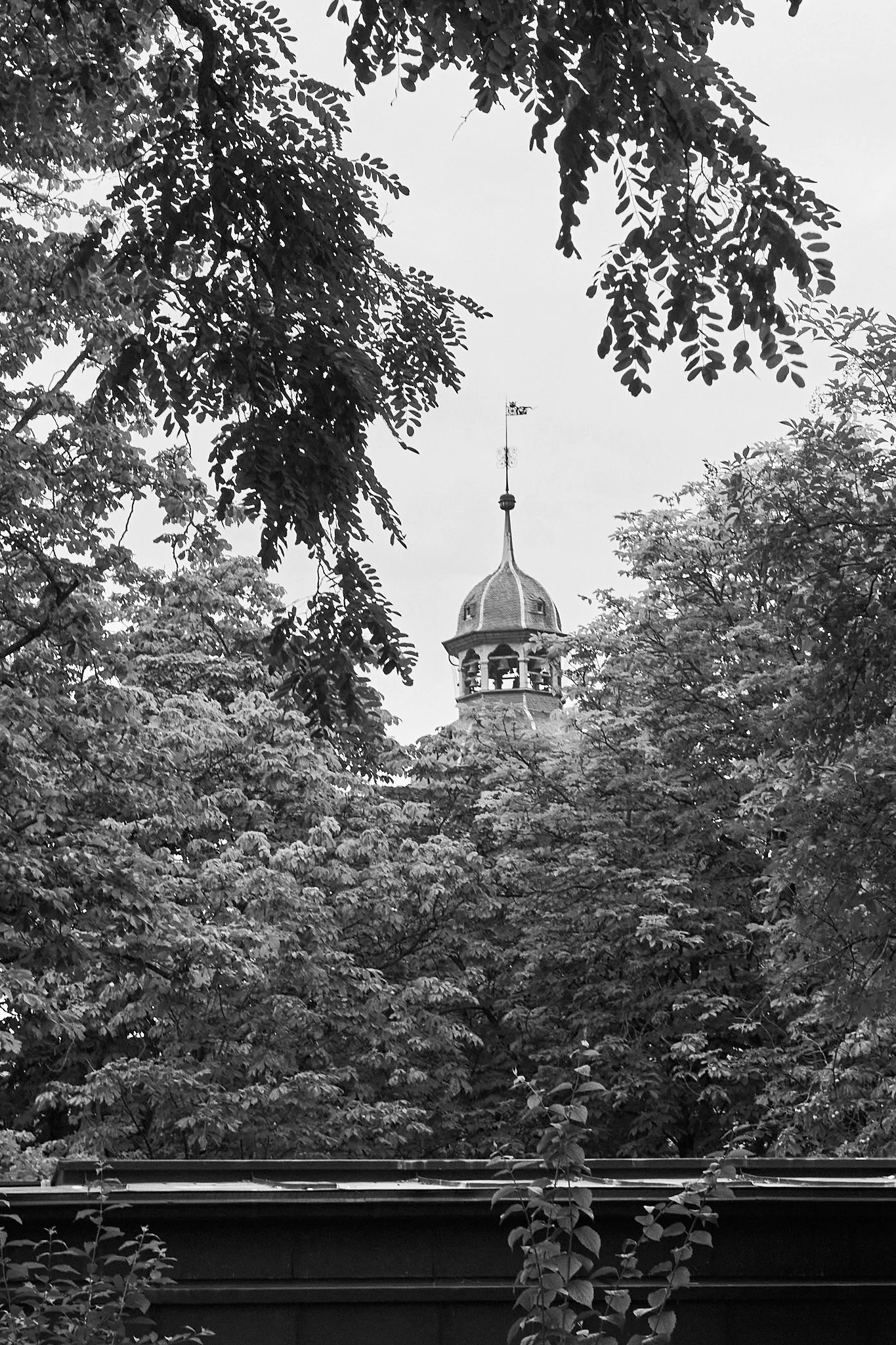 L1000612.jpg