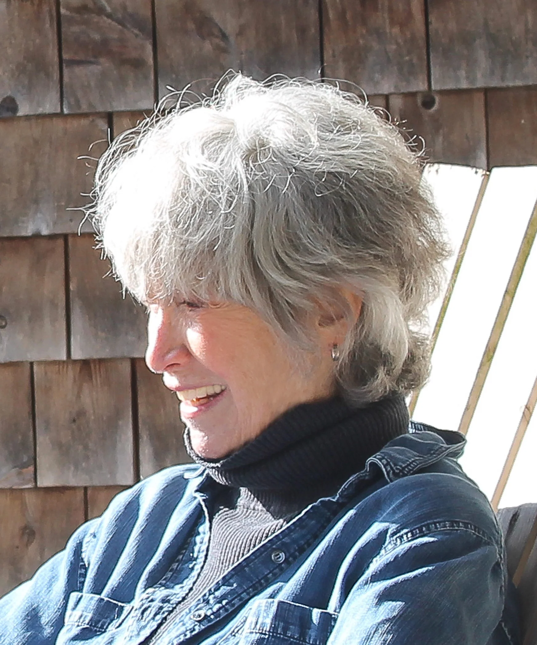 Susan Shetterly hedshot.jpg