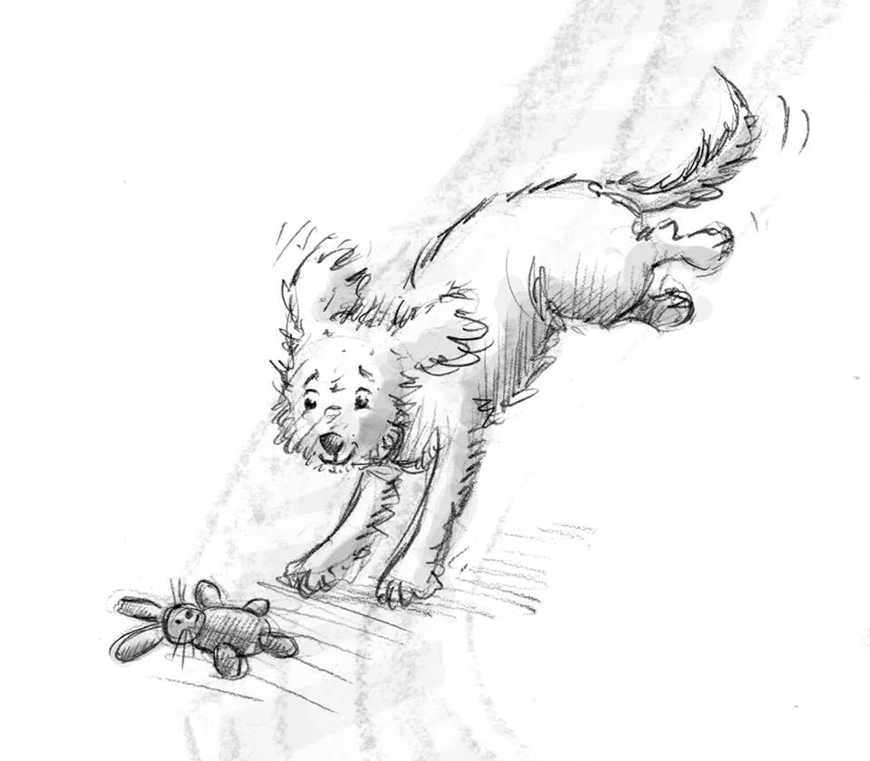 Animal Draw-Along with Hazel Mitchell