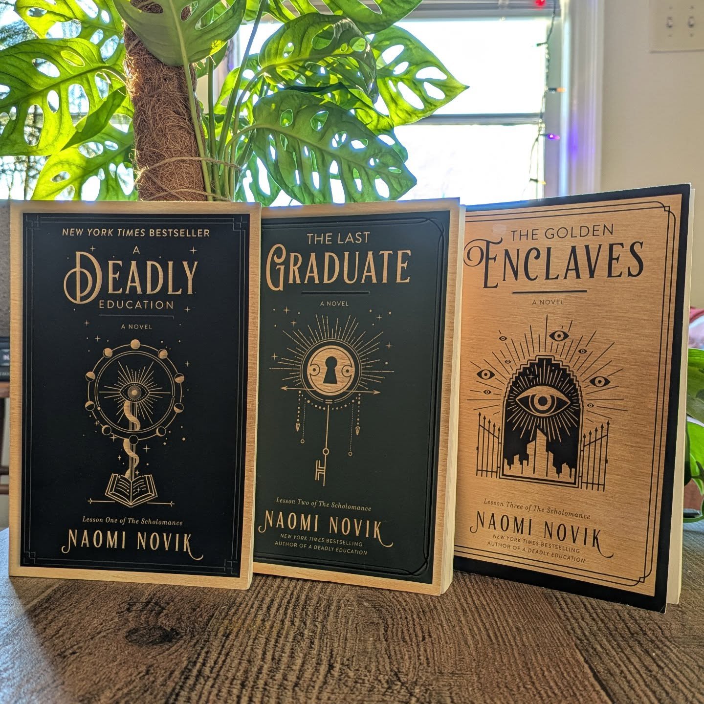 The Scholomance trilogy by Naomi Novik (A Deadly Education, The Last Graduate, and The Golden Enclaves) was such a fun read. The series follows El, who starts out in a school for the magically gifted except this school has a high death rate and this 